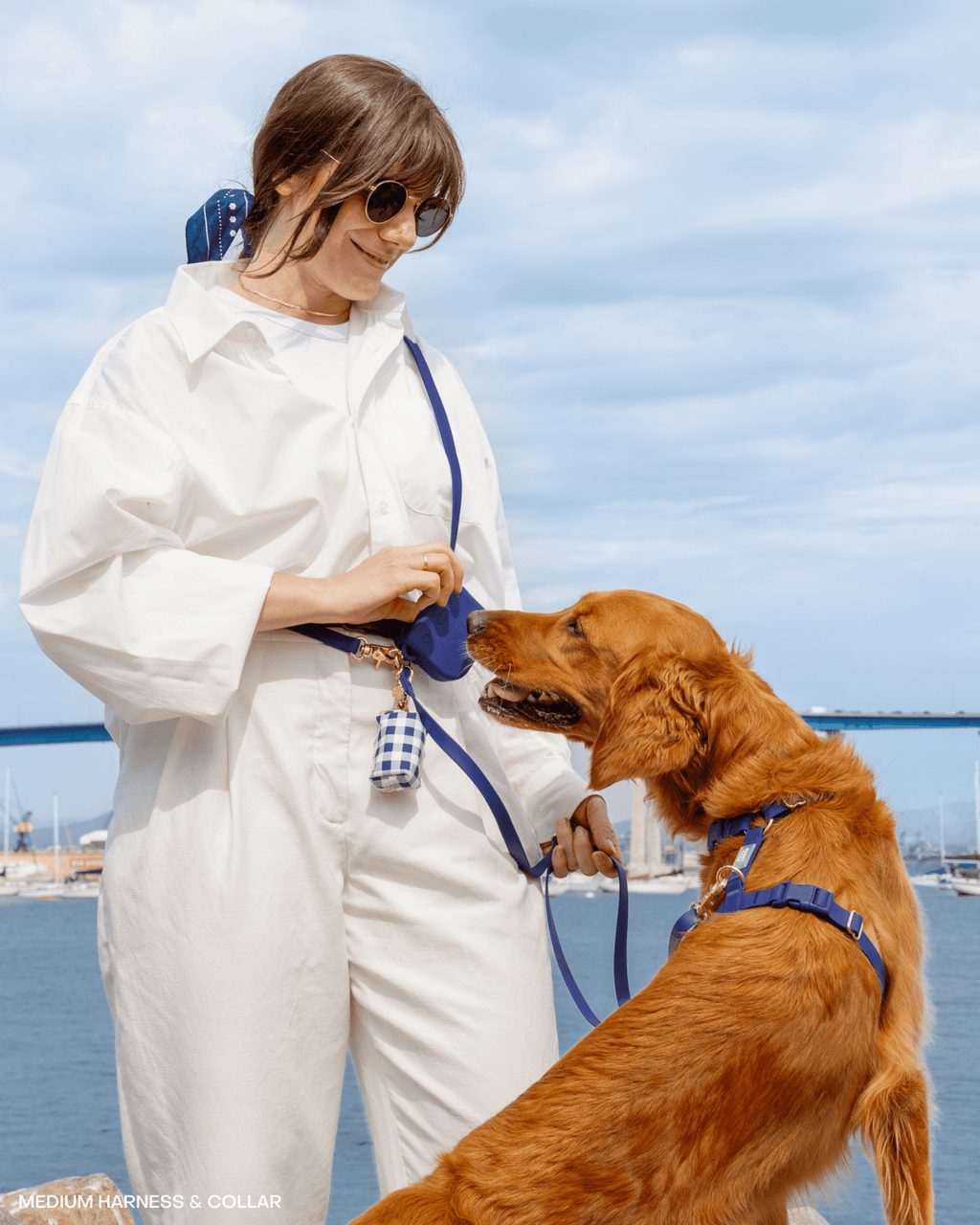 Signature Navy Snap Dog Treat Pouch
