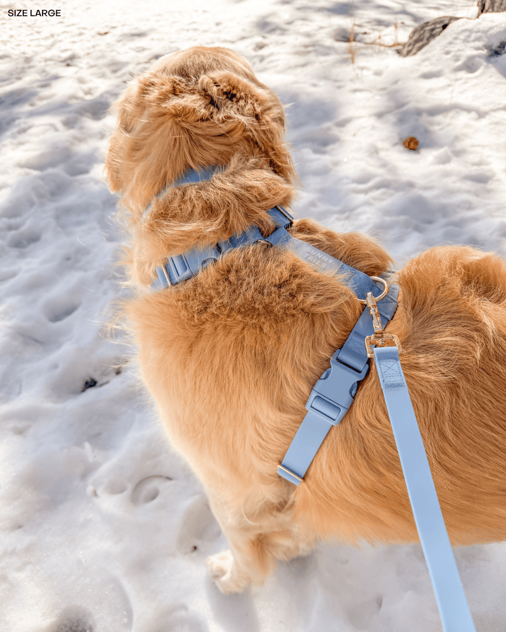Malibu Blue Cloud Lite Dog Harness