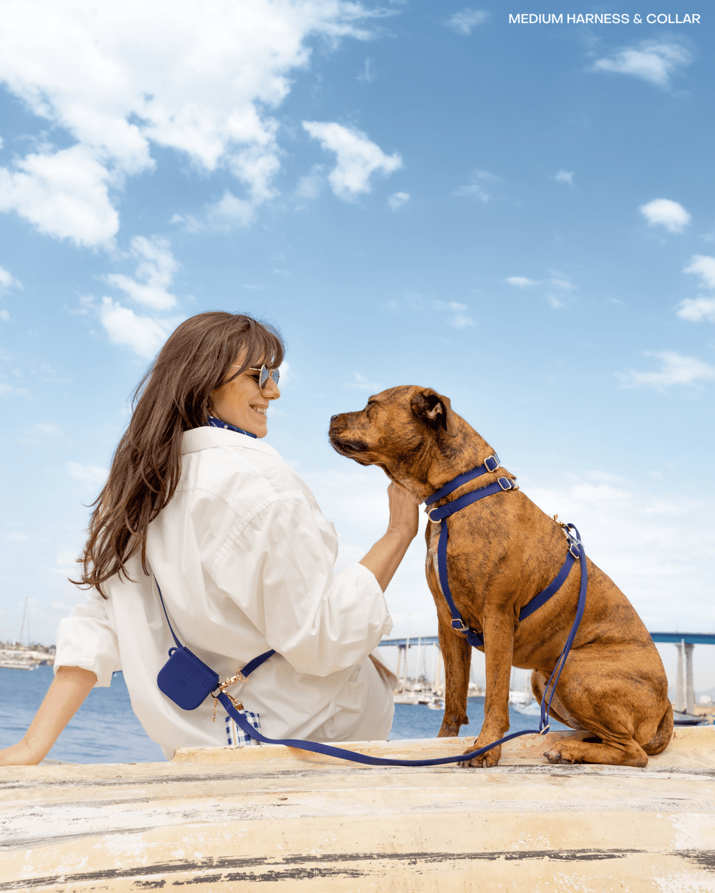 Signature Navy 4-in-1 Convertible Hands Free Cloud Dog Leash