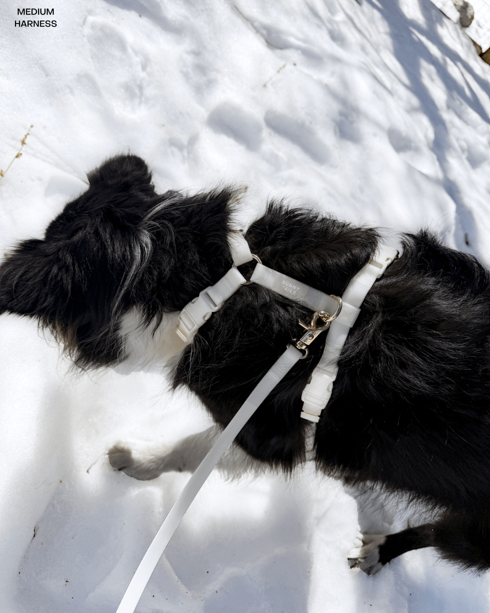 Lunar Glow Cloud Lite Dog Harness