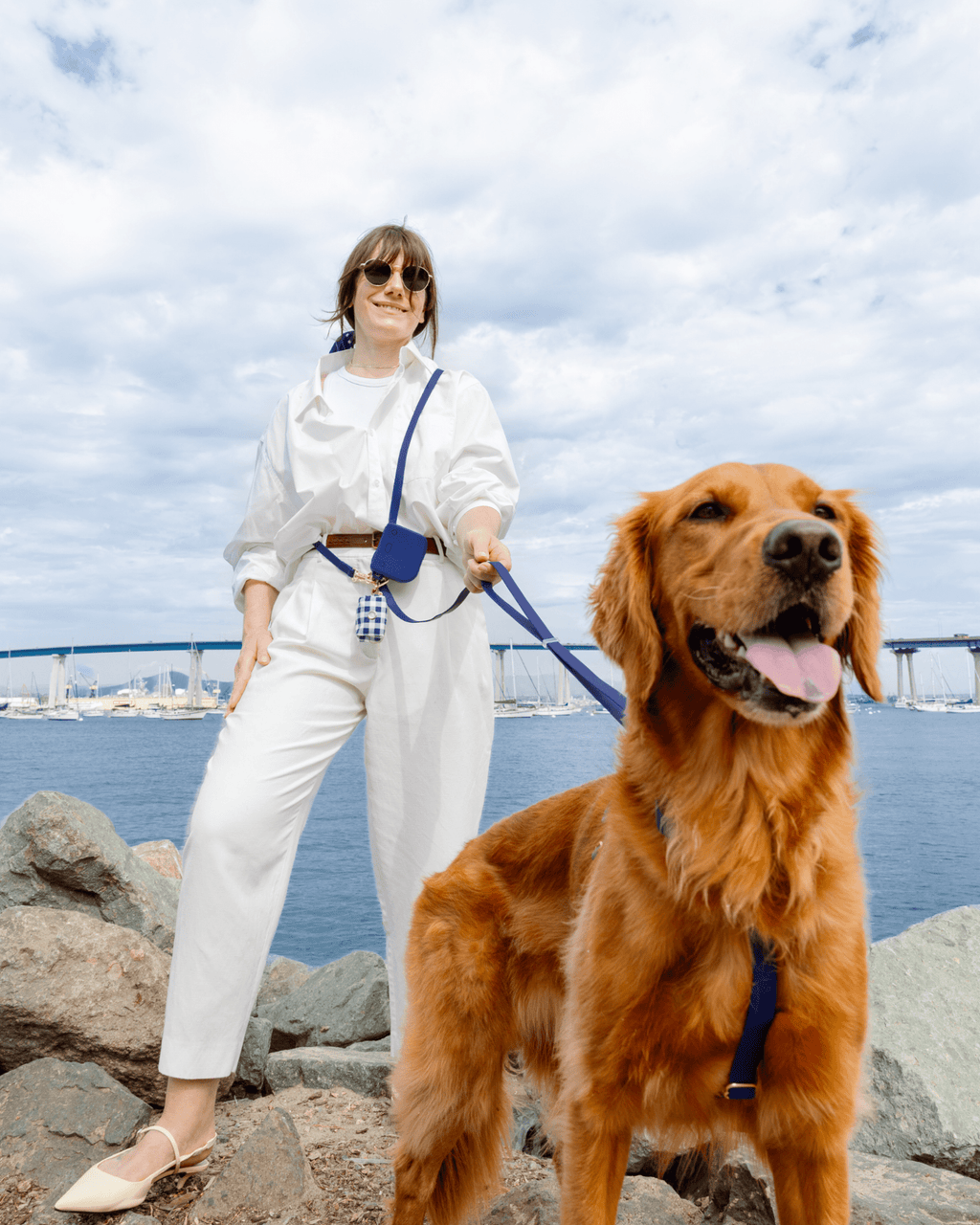 Signature Navy 4-in-1 Convertible Hands Free Cloud Dog Leash