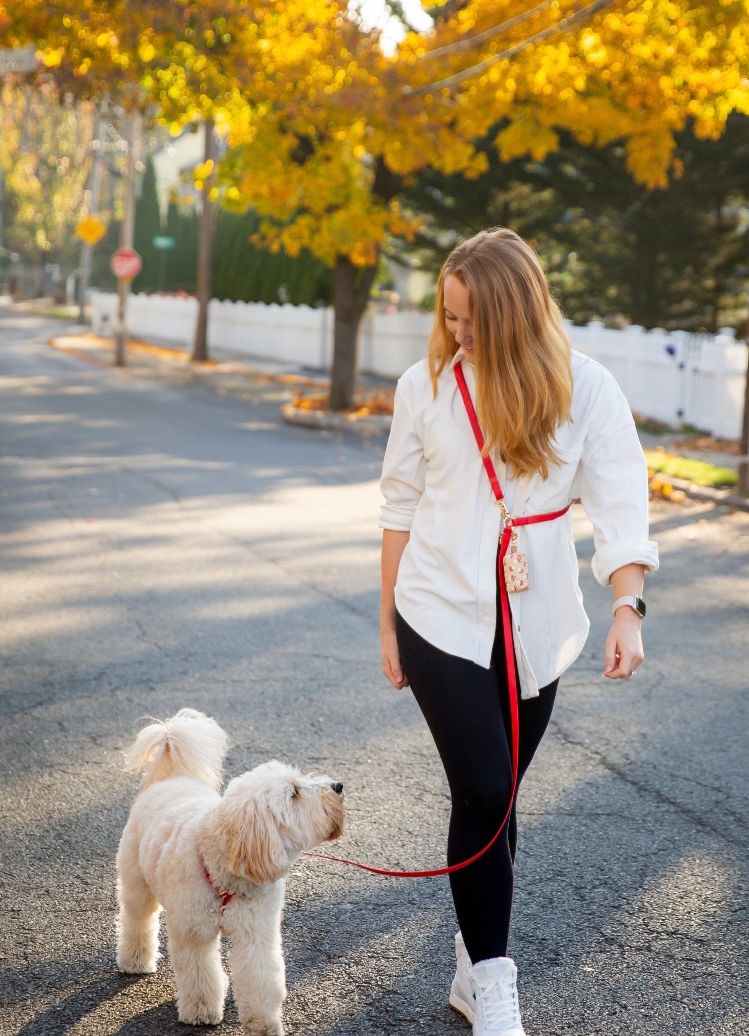 Cherry Red 4-in-1 Convertible Hands Free Cloud Dog Leash (Standard preorder ship by 6/19)