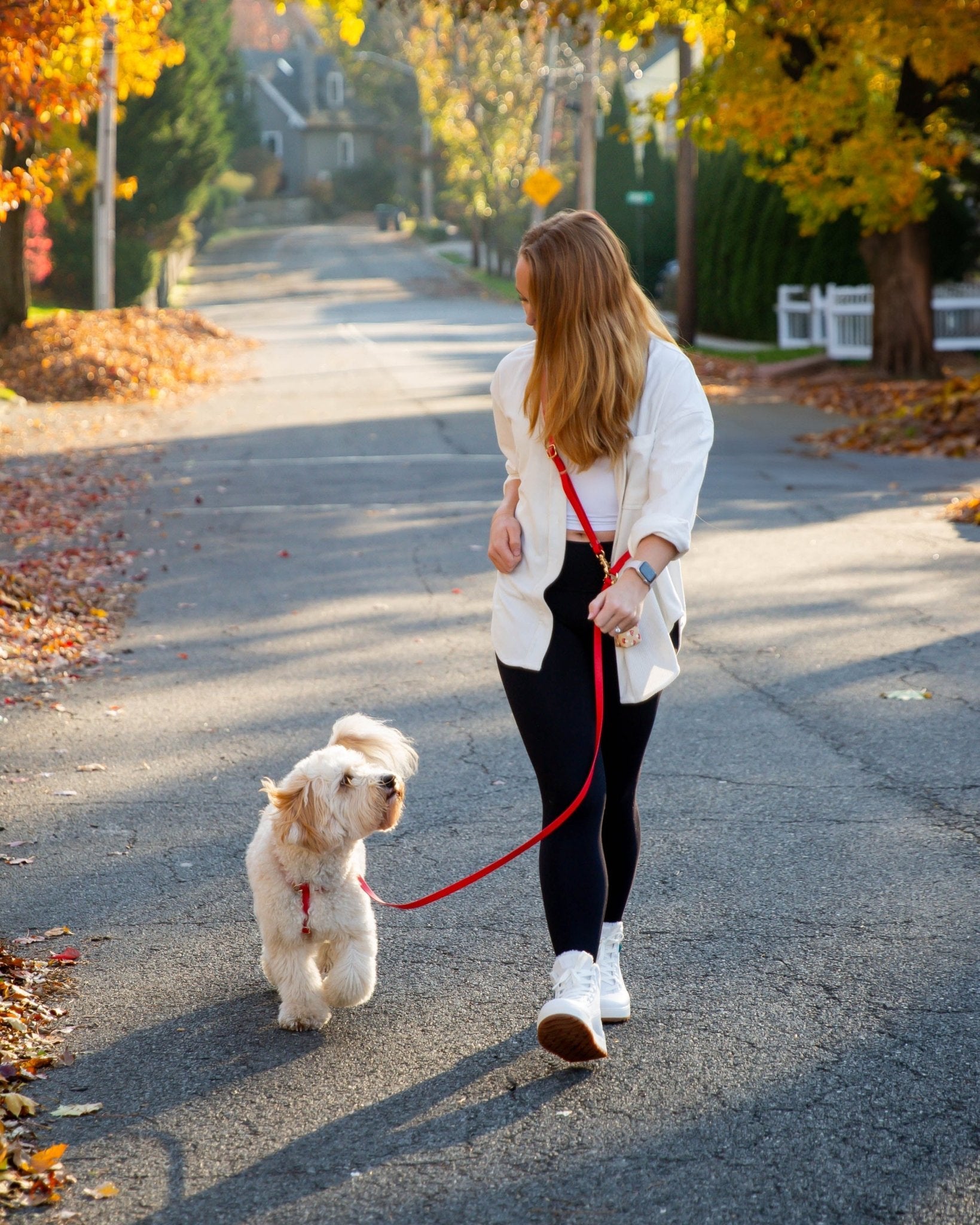 Cherry Red 4-in-1 Convertible Hands Free Cloud Dog Leash (Standard preorder ship by 6/19)