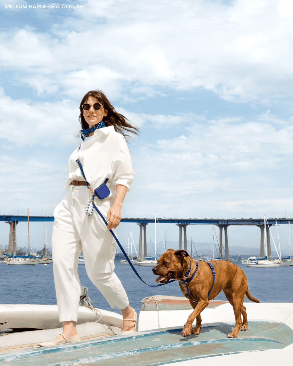 Signature Navy 4-in-1 Convertible Hands Free Cloud Dog Leash