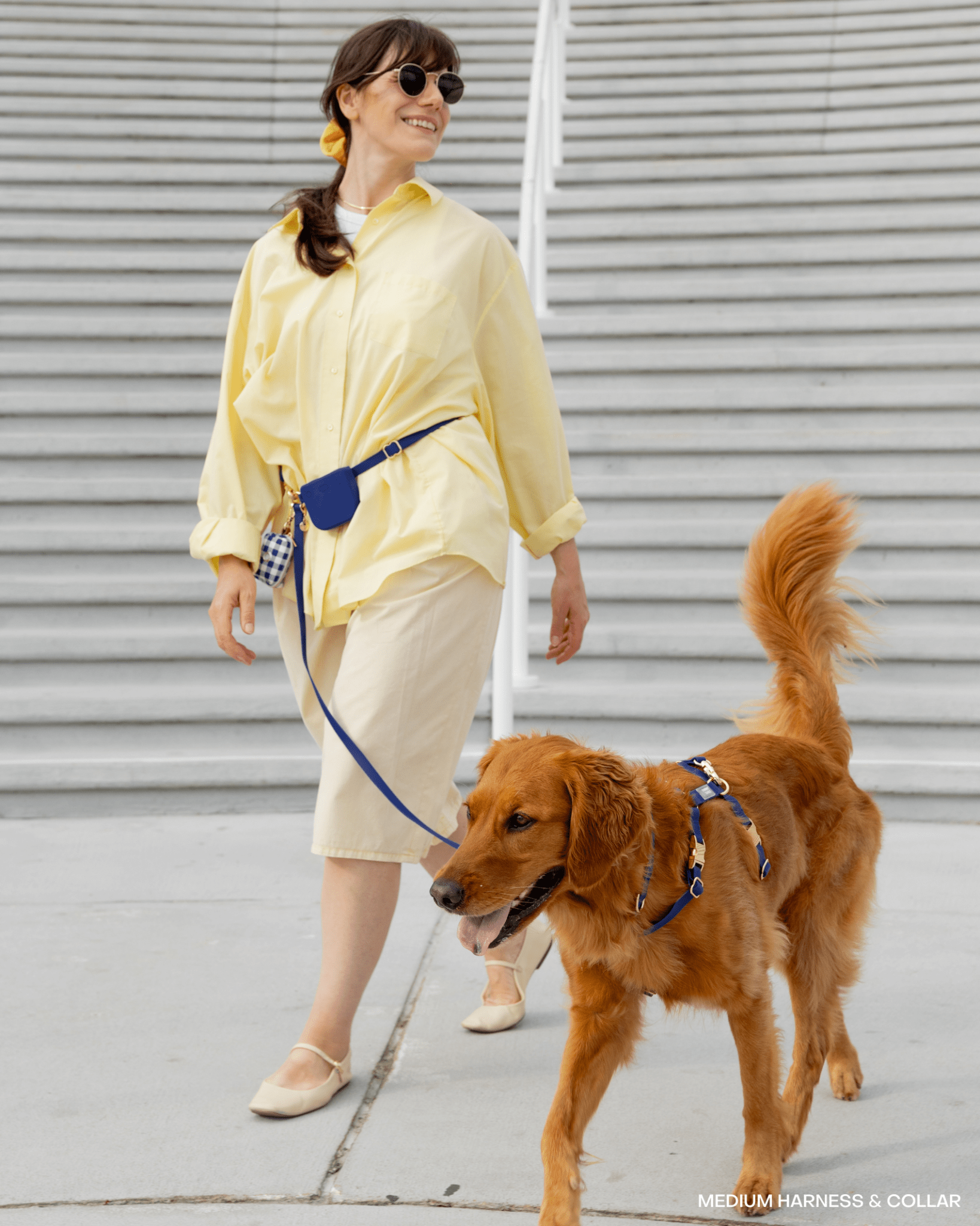Signature Navy 4-in-1 Convertible Hands Free Cloud Dog Leash