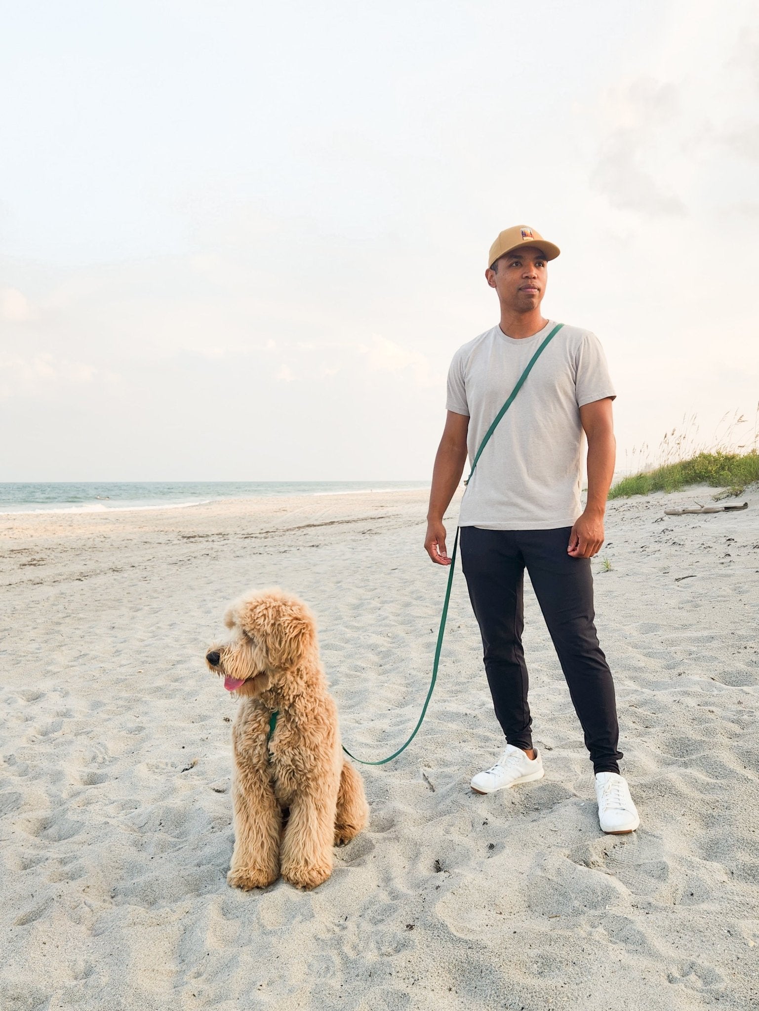 Meadow Green Cloud Lite Dog Harness