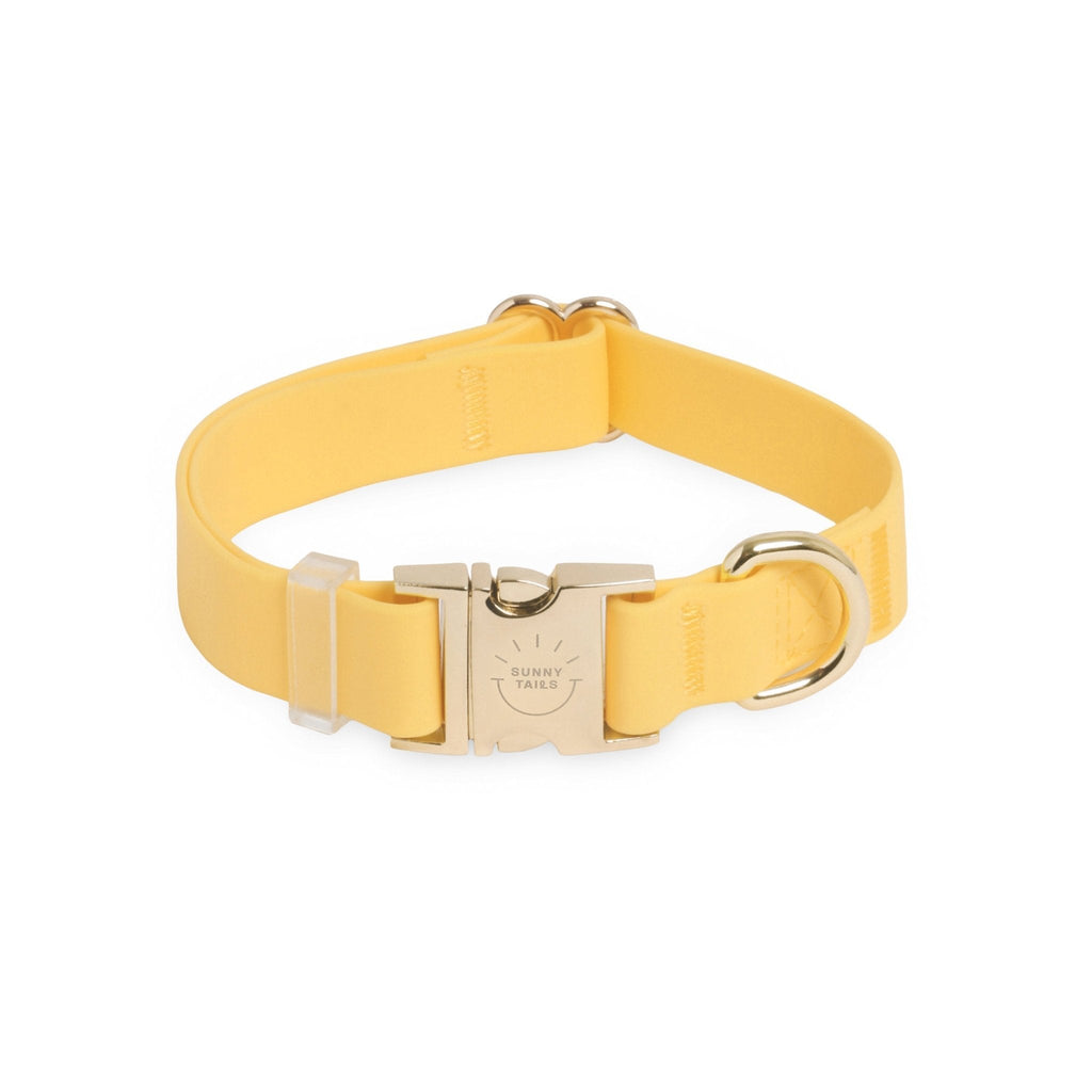 Dandelion Yellow Waterproof Dog Collar