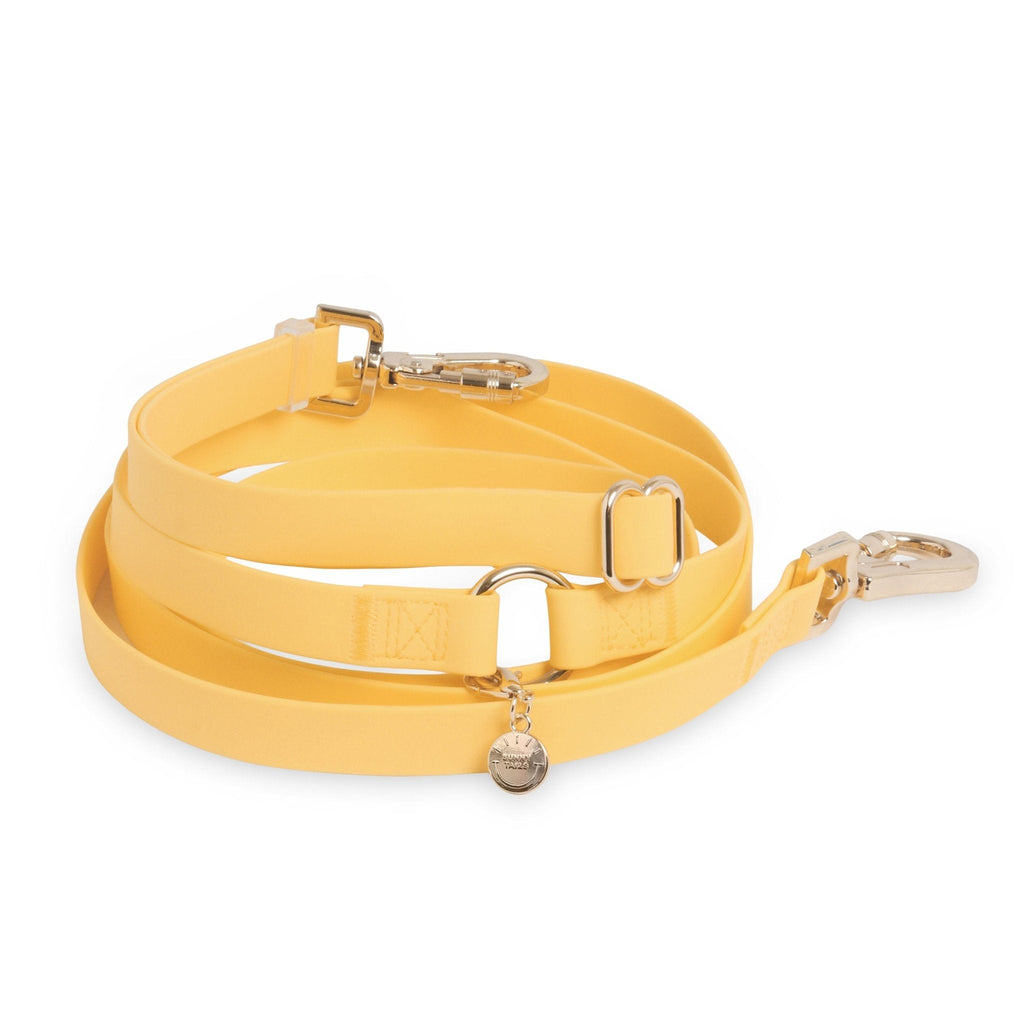 Dandelion Yellow 4-in-1 Convertible Hands Free Cloud Dog Leash Wide