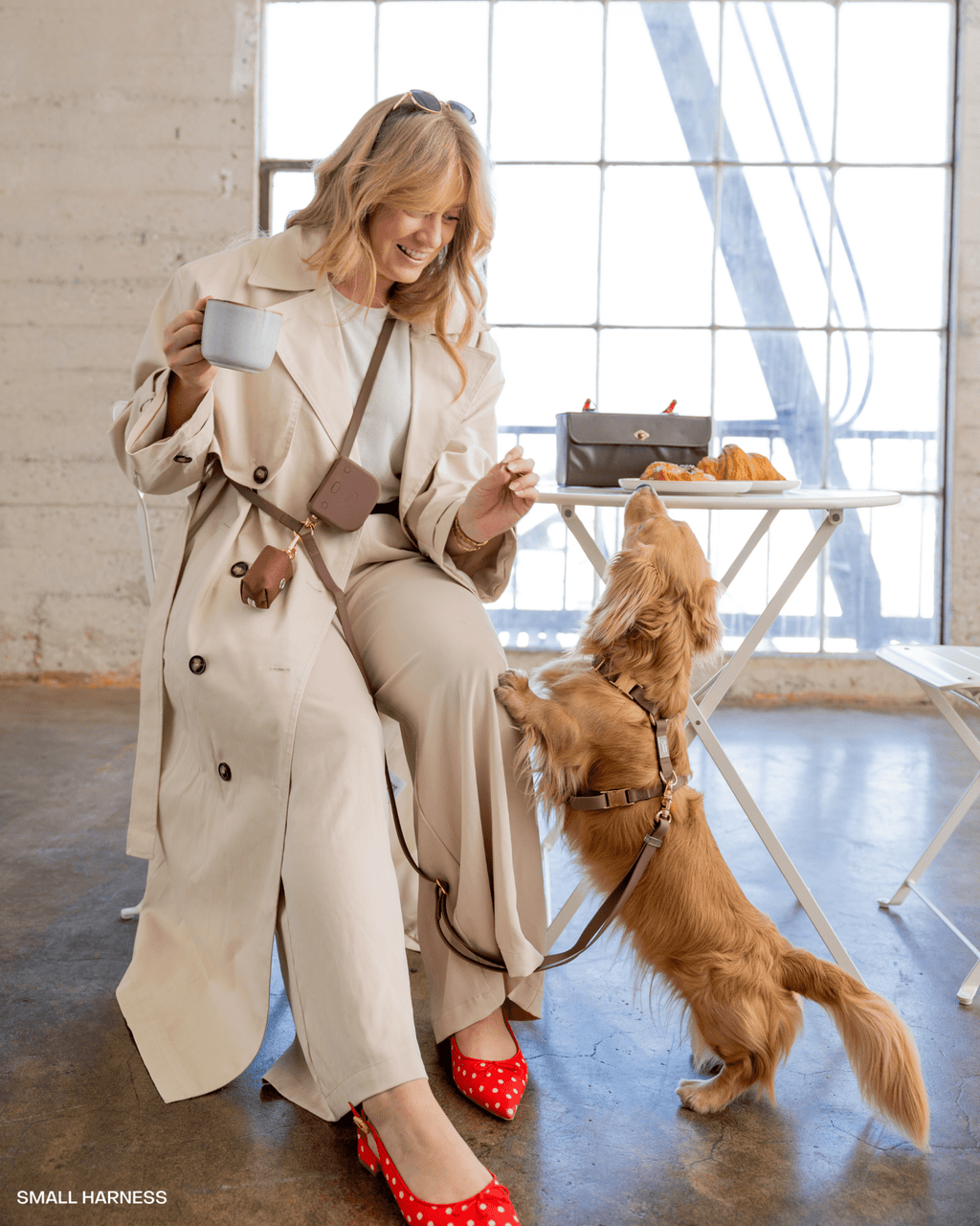 Espresso Brown 4-in-1 Convertible Hands Free Cloud Dog Leash