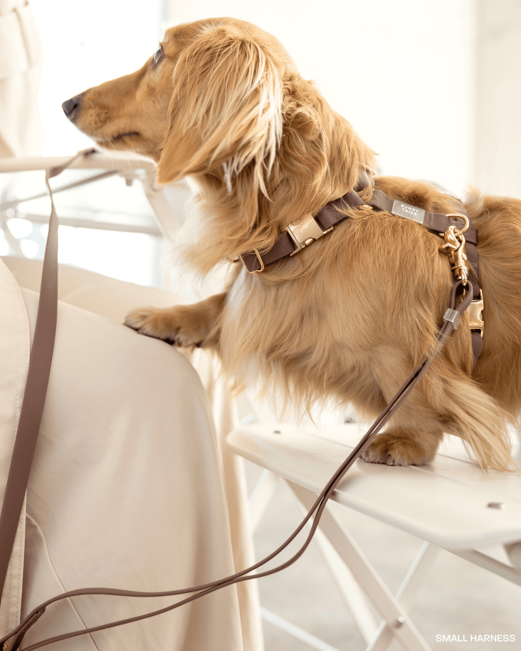 Espresso Brown Cloud Lite Dog Harness