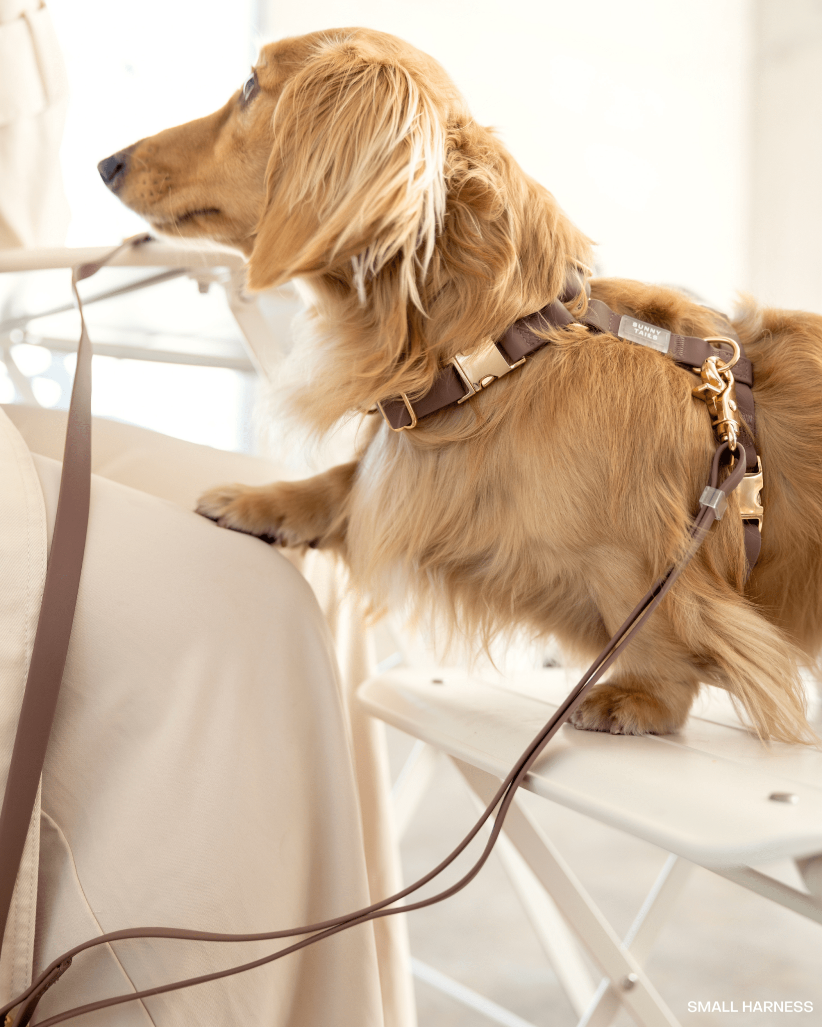 Espresso Brown Cloud Lite Dog Harness