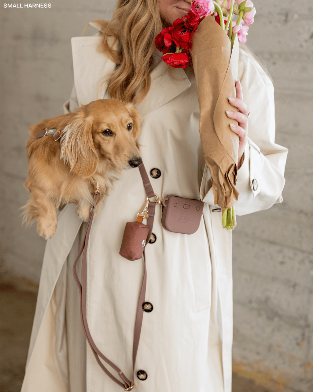 Espresso Brown 4-in-1 Convertible Hands Free Cloud Dog Leash