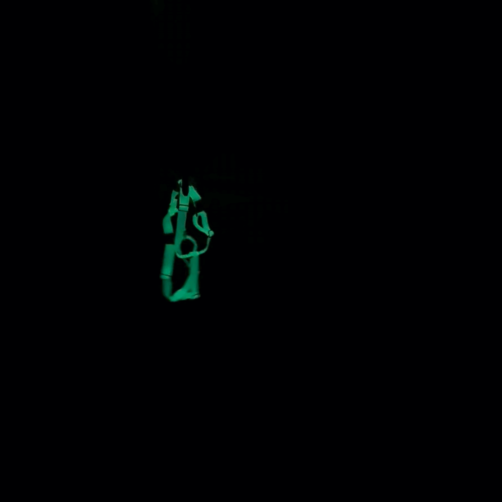 Lunar Glow Waterproof Dog Collar