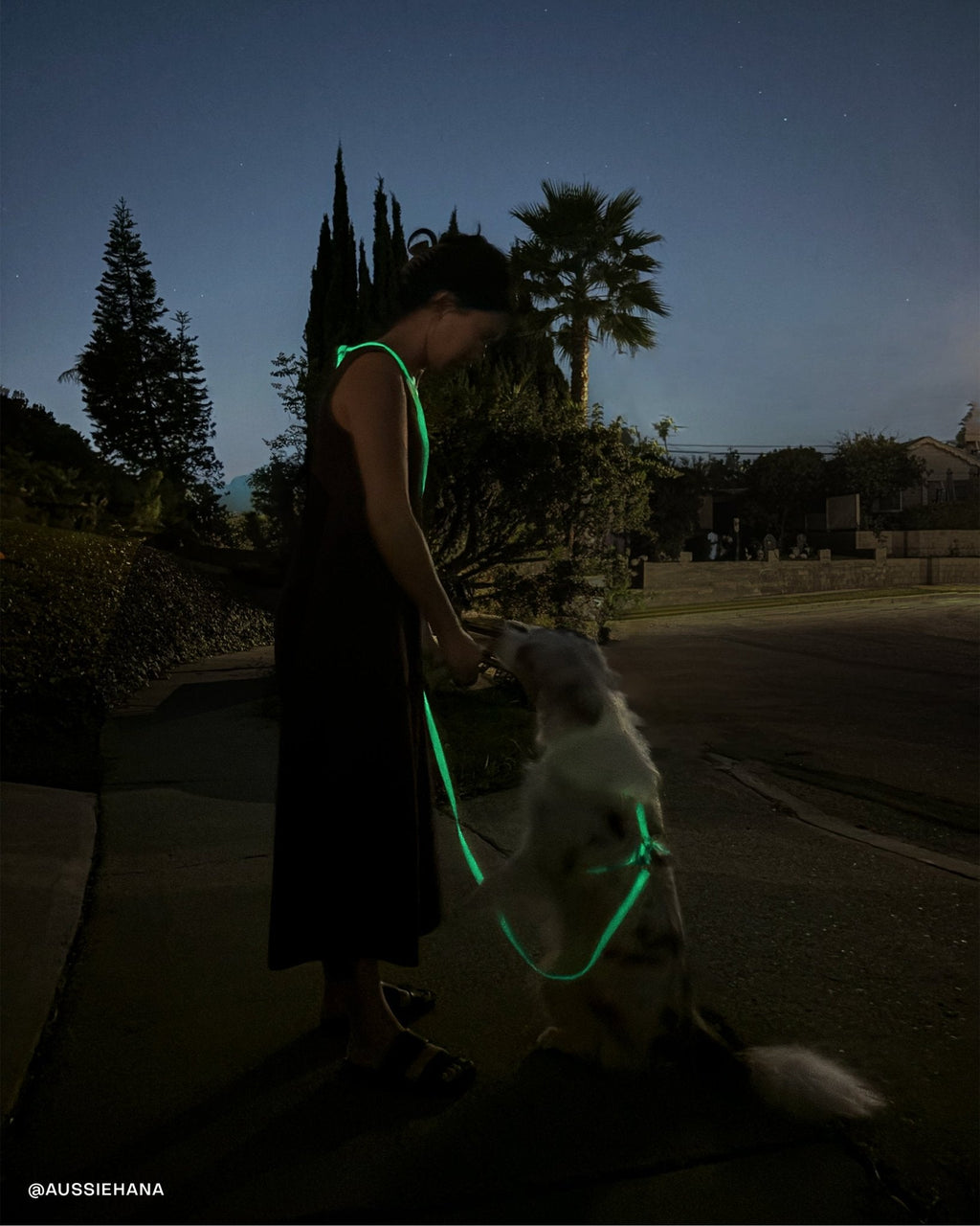 Lunar Glow 4-in-1 Convertible Hands Free Cloud Dog Leash