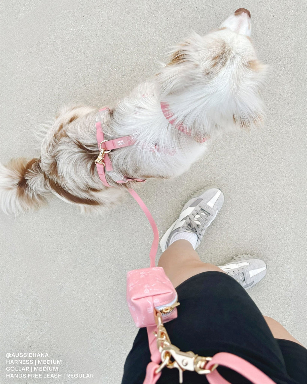 Perfect Pink 4-in-1 Convertible Hands Free Cloud Dog Leash (Standard leash preorder ship by 6/12)