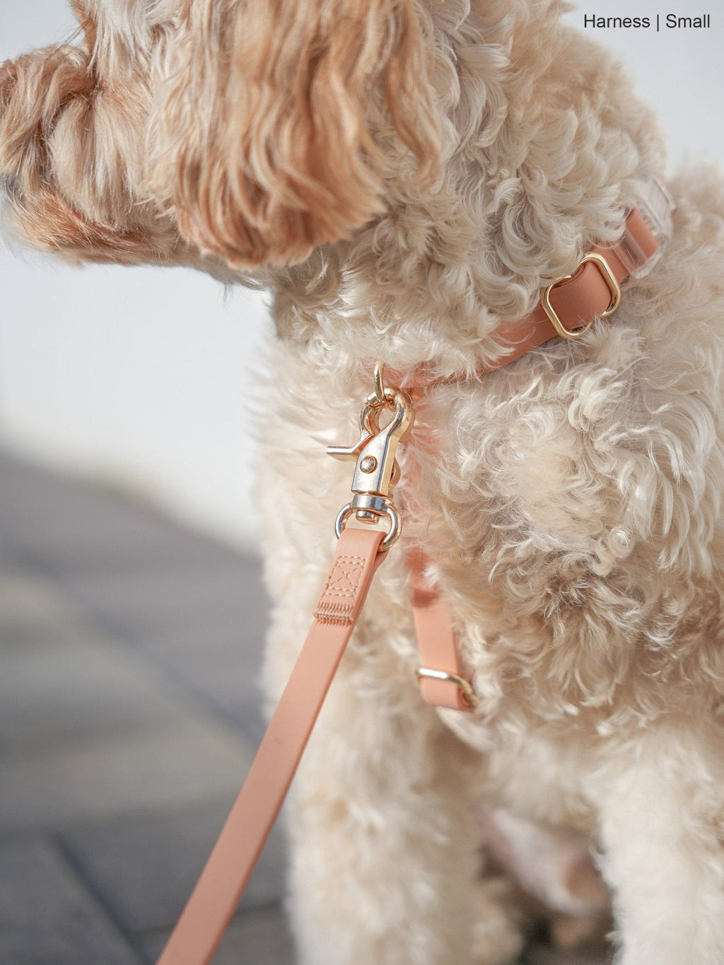 Chai Brown Cloud Lite Dog Harness