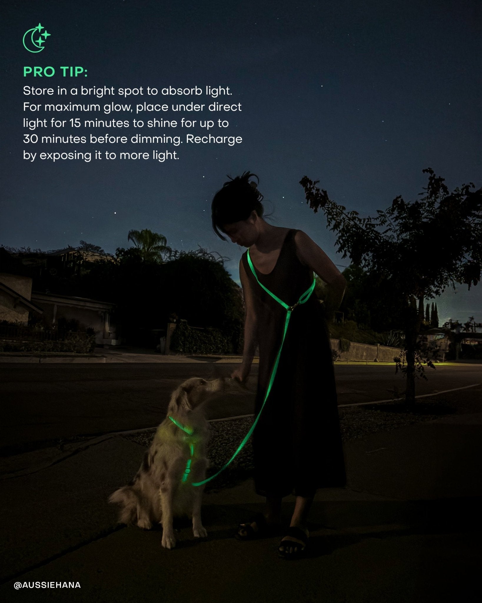 Lunar Glow Cloud Lite Dog Harness