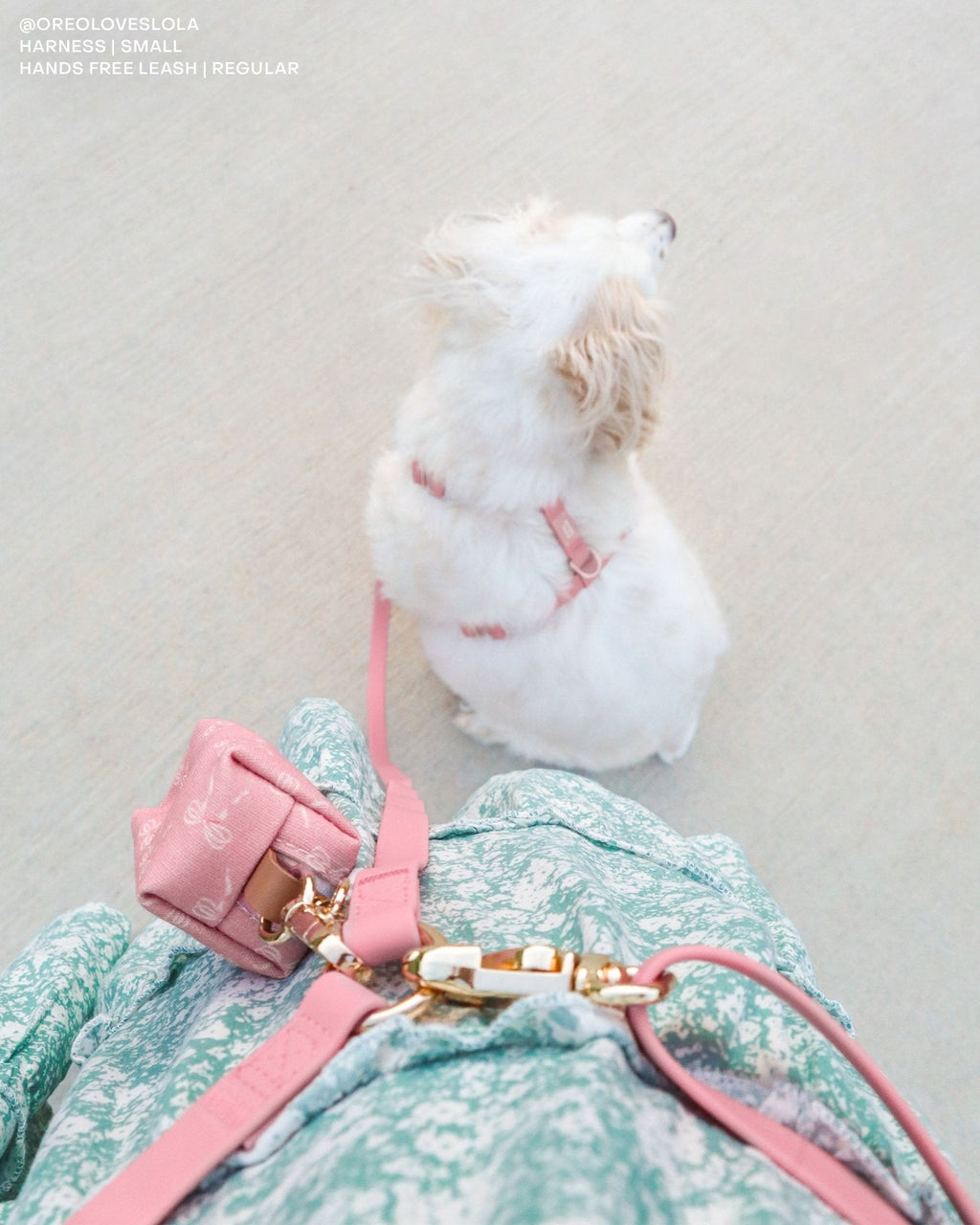 Perfect Pink 4-in-1 Convertible Hands Free Cloud Dog Leash (Standard leash preorder ship by 6/12)