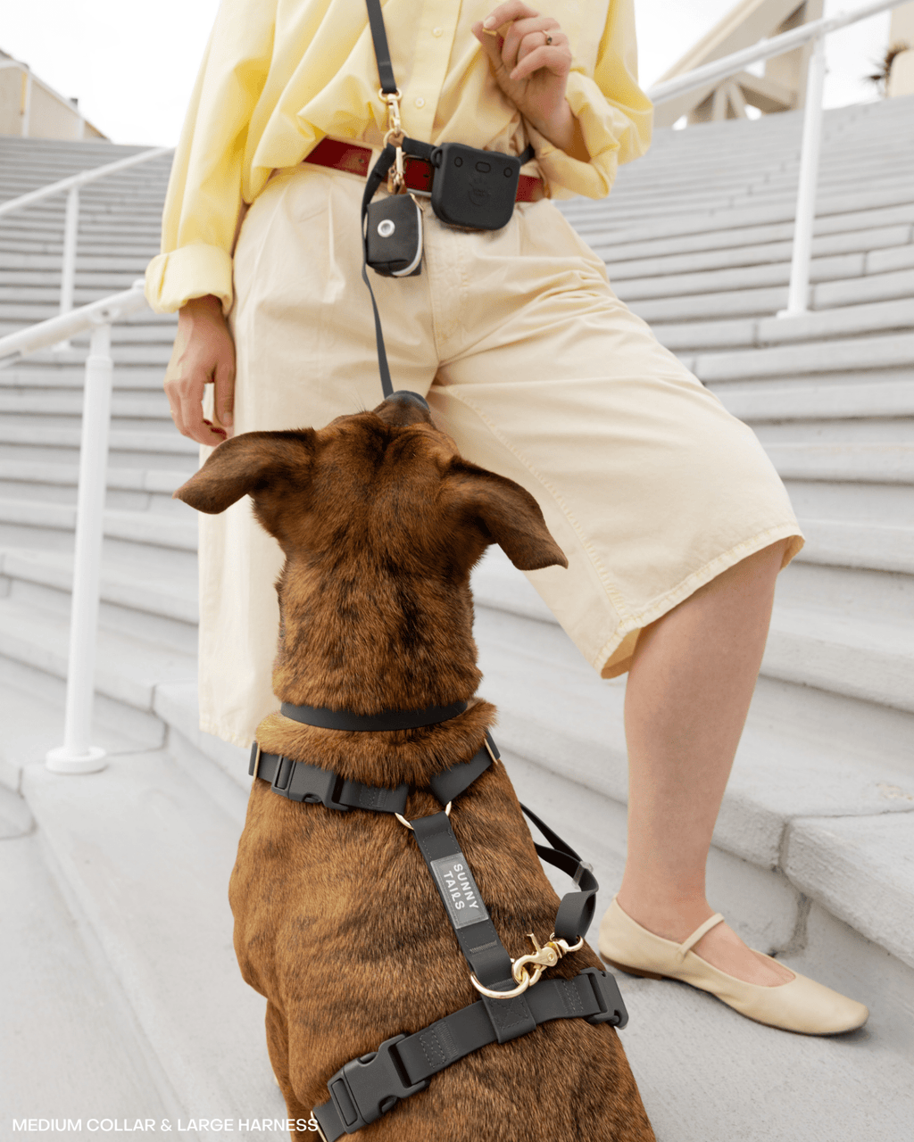 Ember Black 4-in-1 Convertible Hands Free Cloud Dog Leash