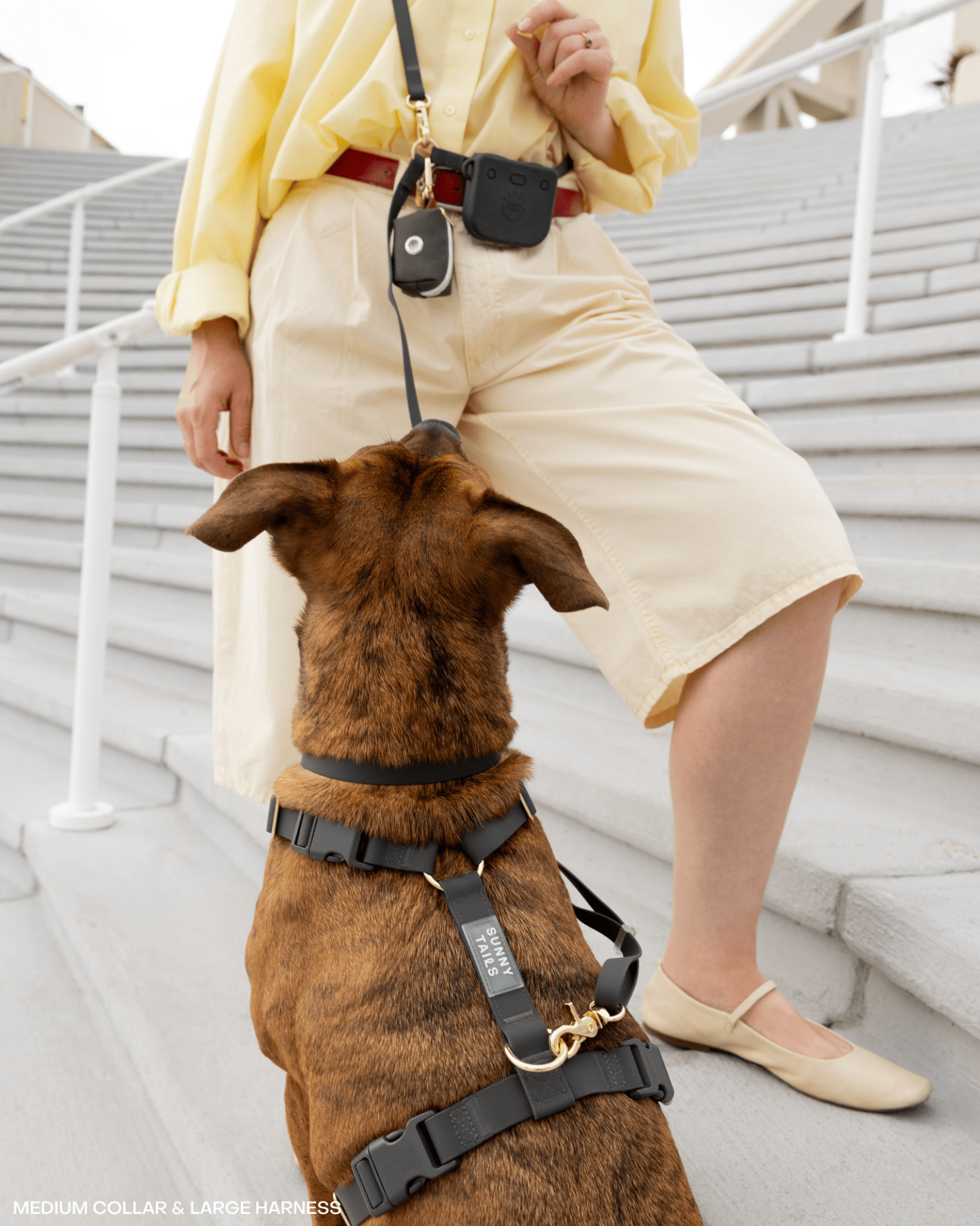 Ember Black Cloud Lite Dog Harness