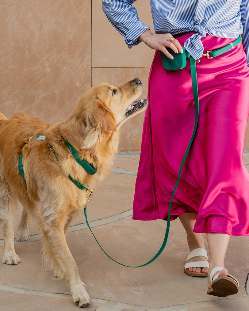 Meadow Green Cloud Lite Dog Harness