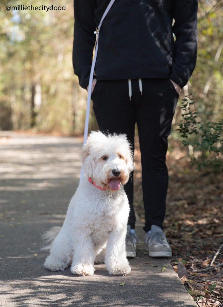 Lavender Haze 4-in-1 Convertible Hands Free Cloud Dog Leash