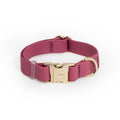 Mulberry Burgundy Waterproof Dog Collar