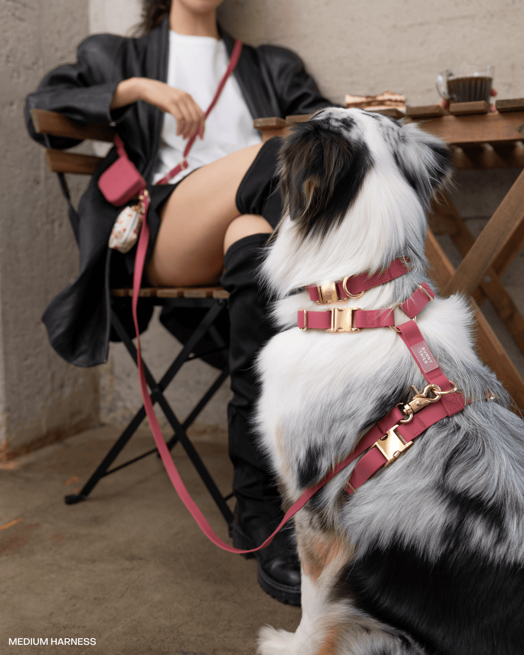 Mulberry Burgundy 4-in-1 Convertible Hands Free Cloud Dog Leash (Standard leash preorder ship by 6/19)