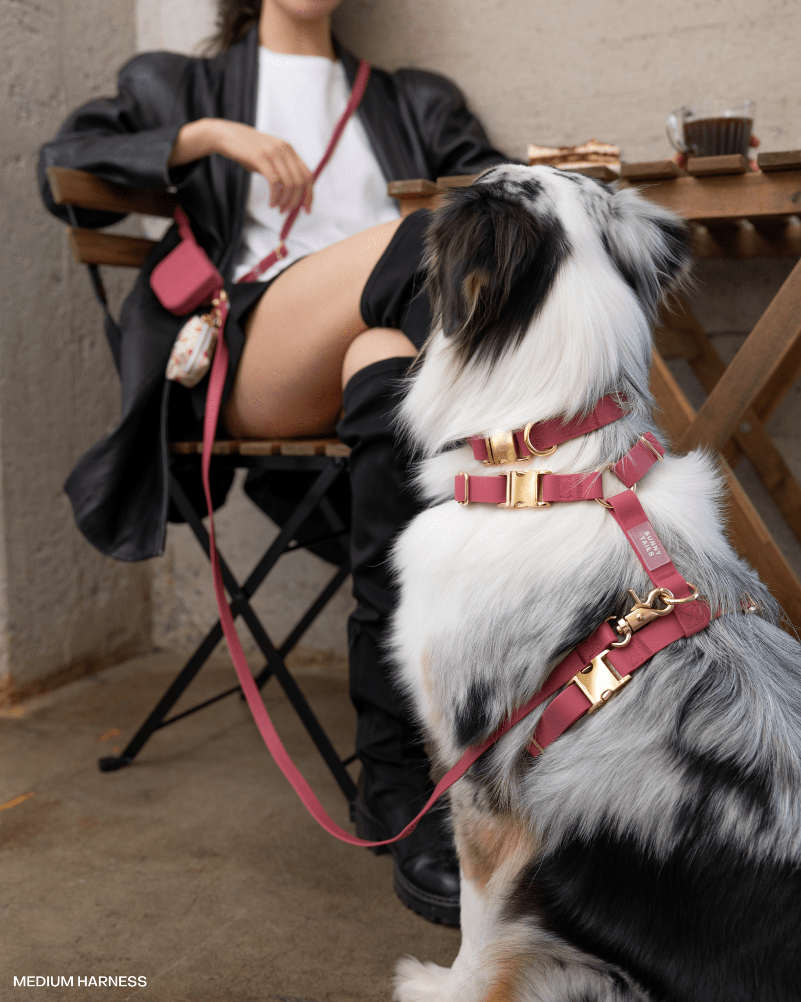 Mulberry Snap Dog Treat Pouch