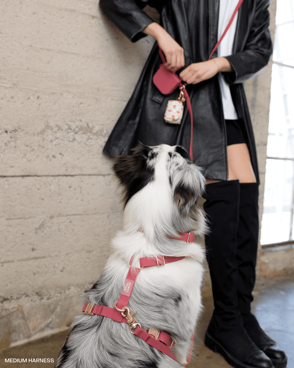 Mulberry Snap Dog Treat Pouch
