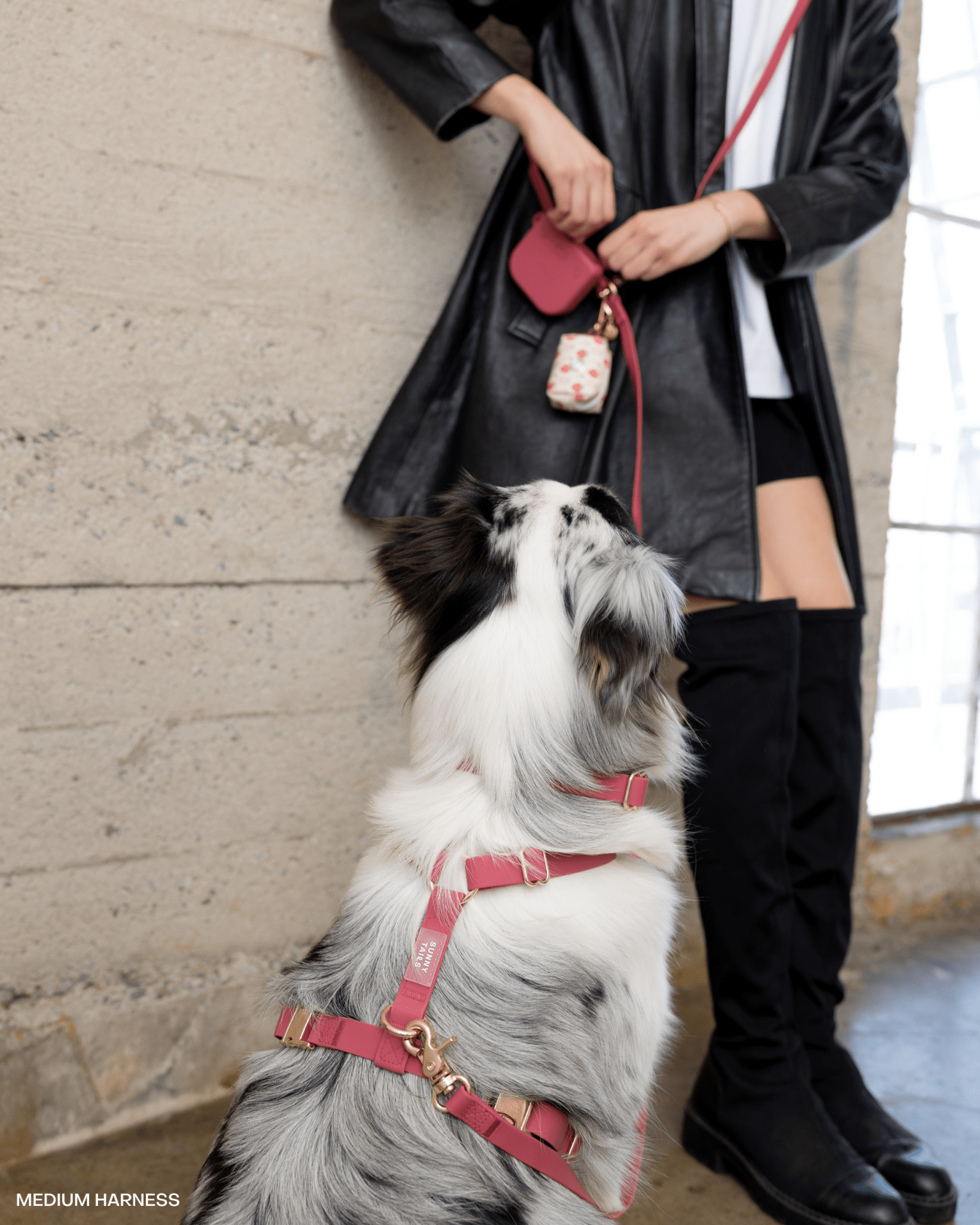 Mulberry Burgundy Cloud Lite Dog Harness