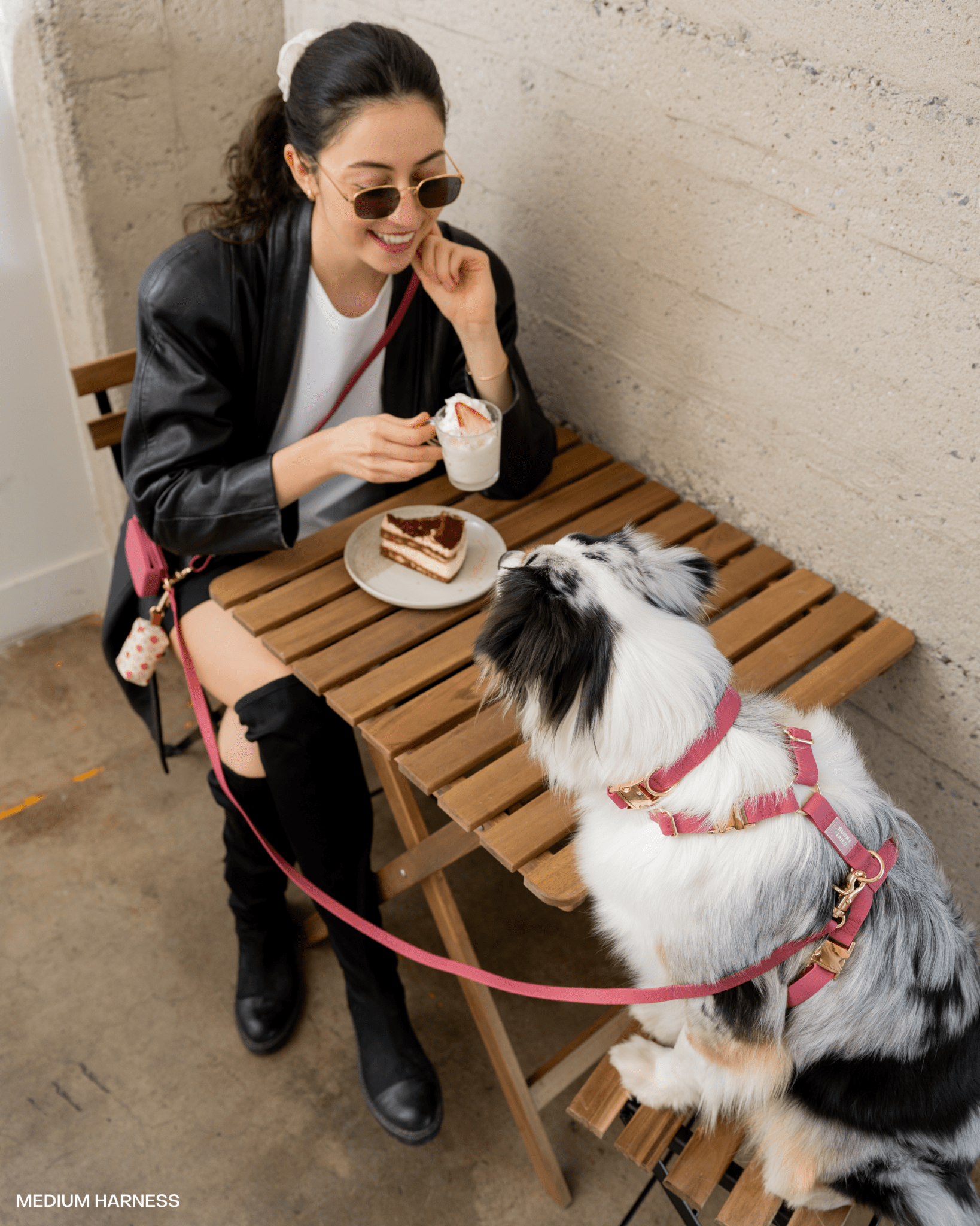 Mulberry Burgundy Cloud Lite Dog Harness