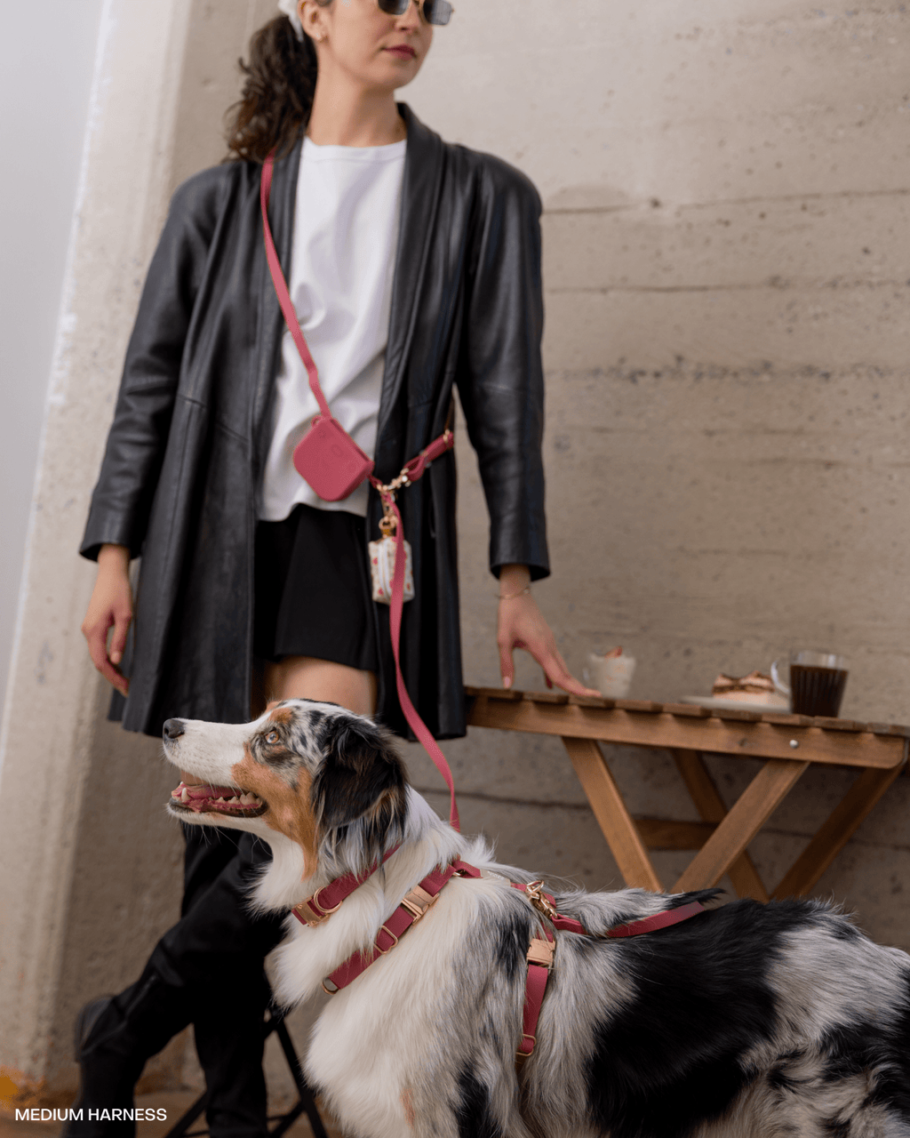 Mulberry Burgundy 4-in-1 Convertible Hands Free Cloud Dog Leash (Standard leash preorder ship by 6/19)