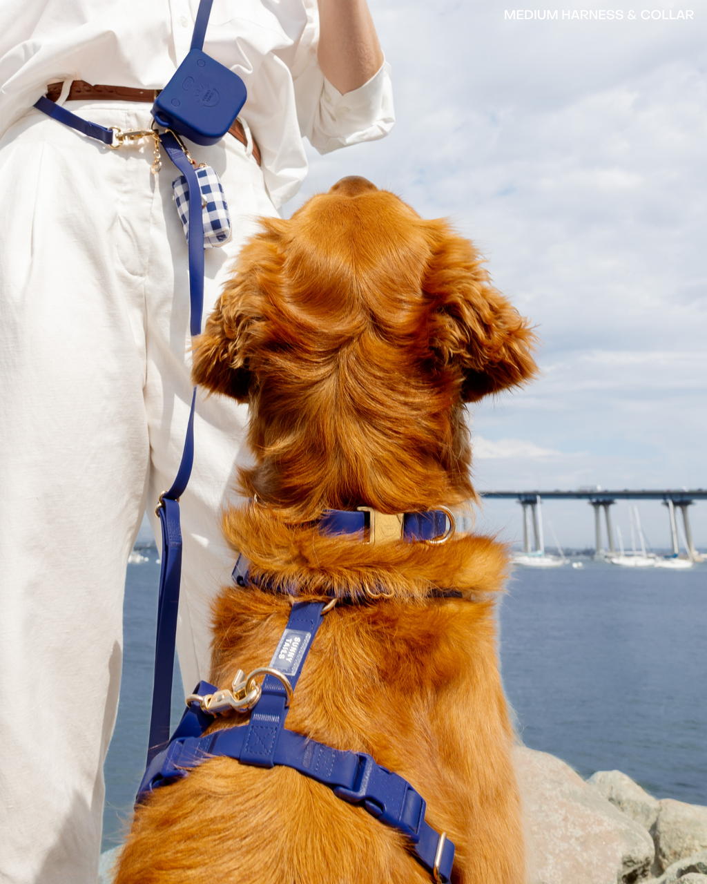 Signature Navy Waterproof Dog Collar