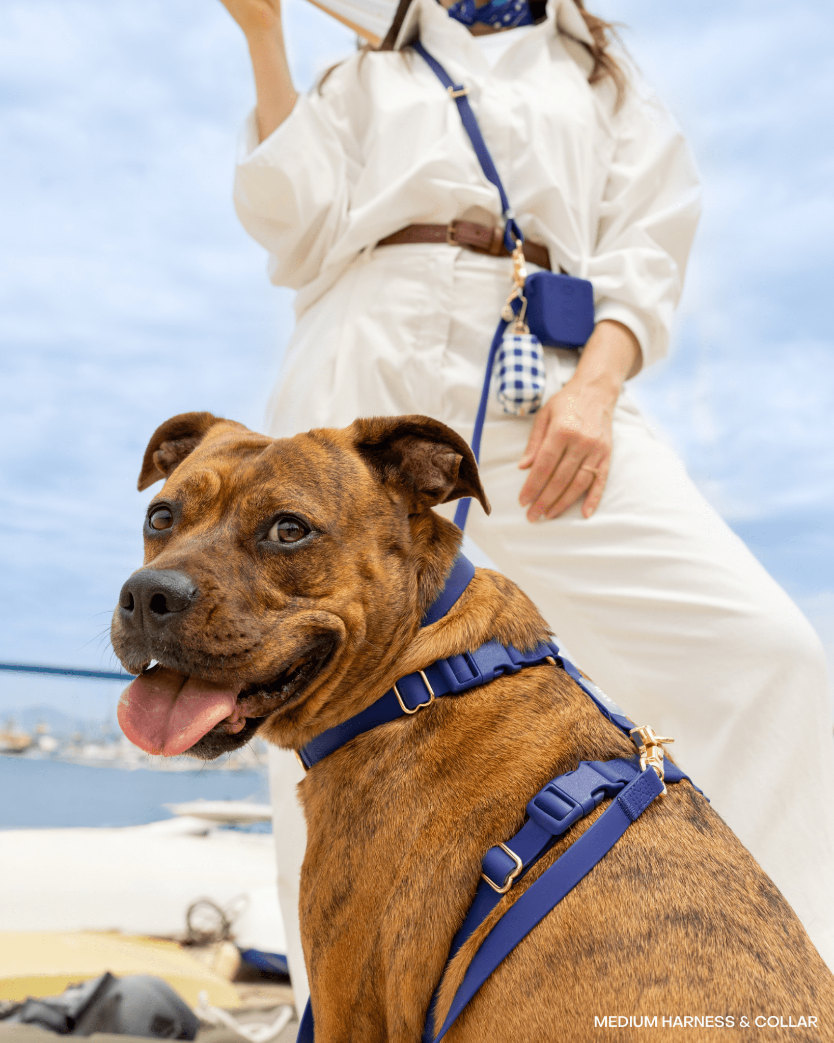 Signature Navy Cloud Lite Dog Harness