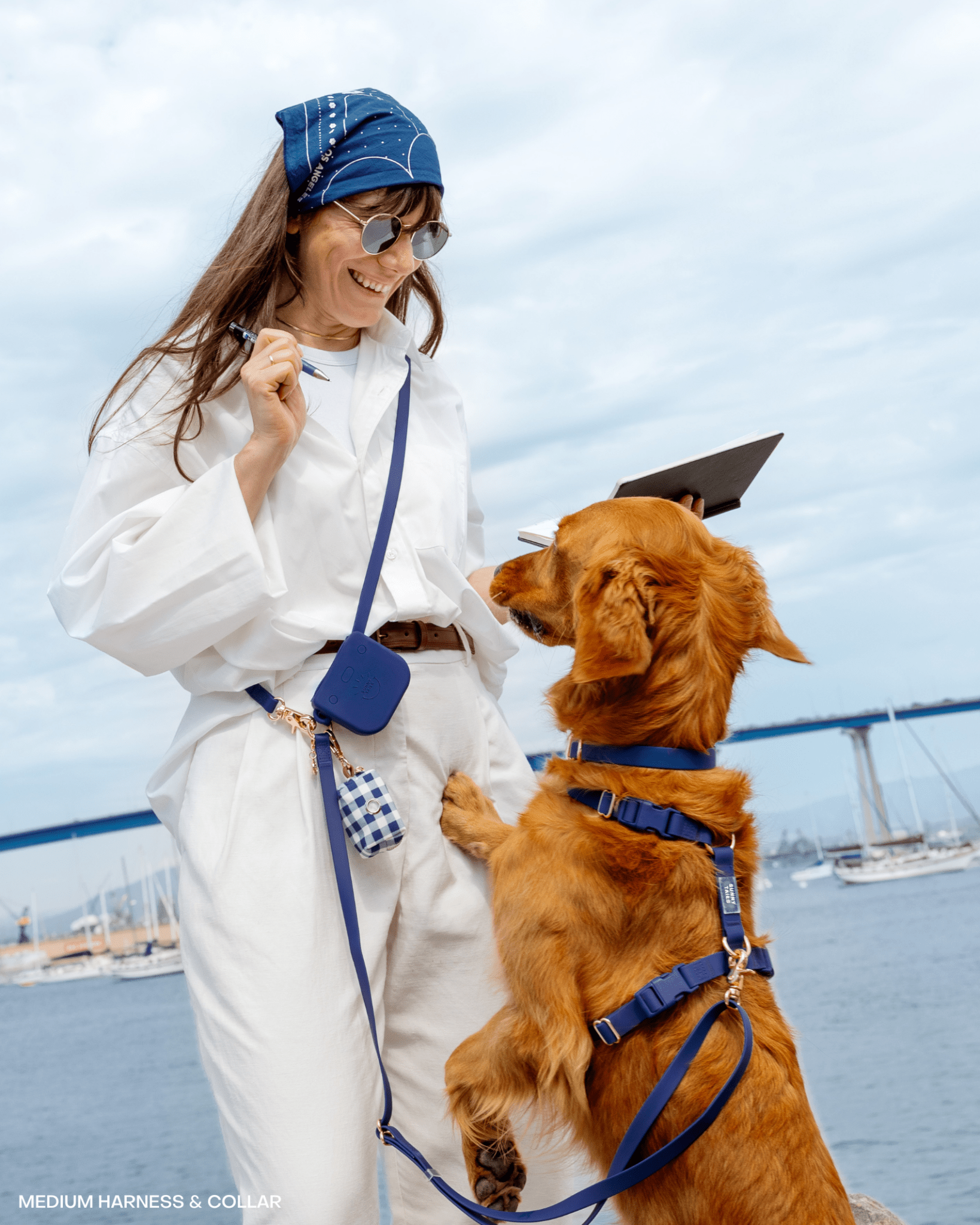 Signature Navy Cloud Lite Dog Harness