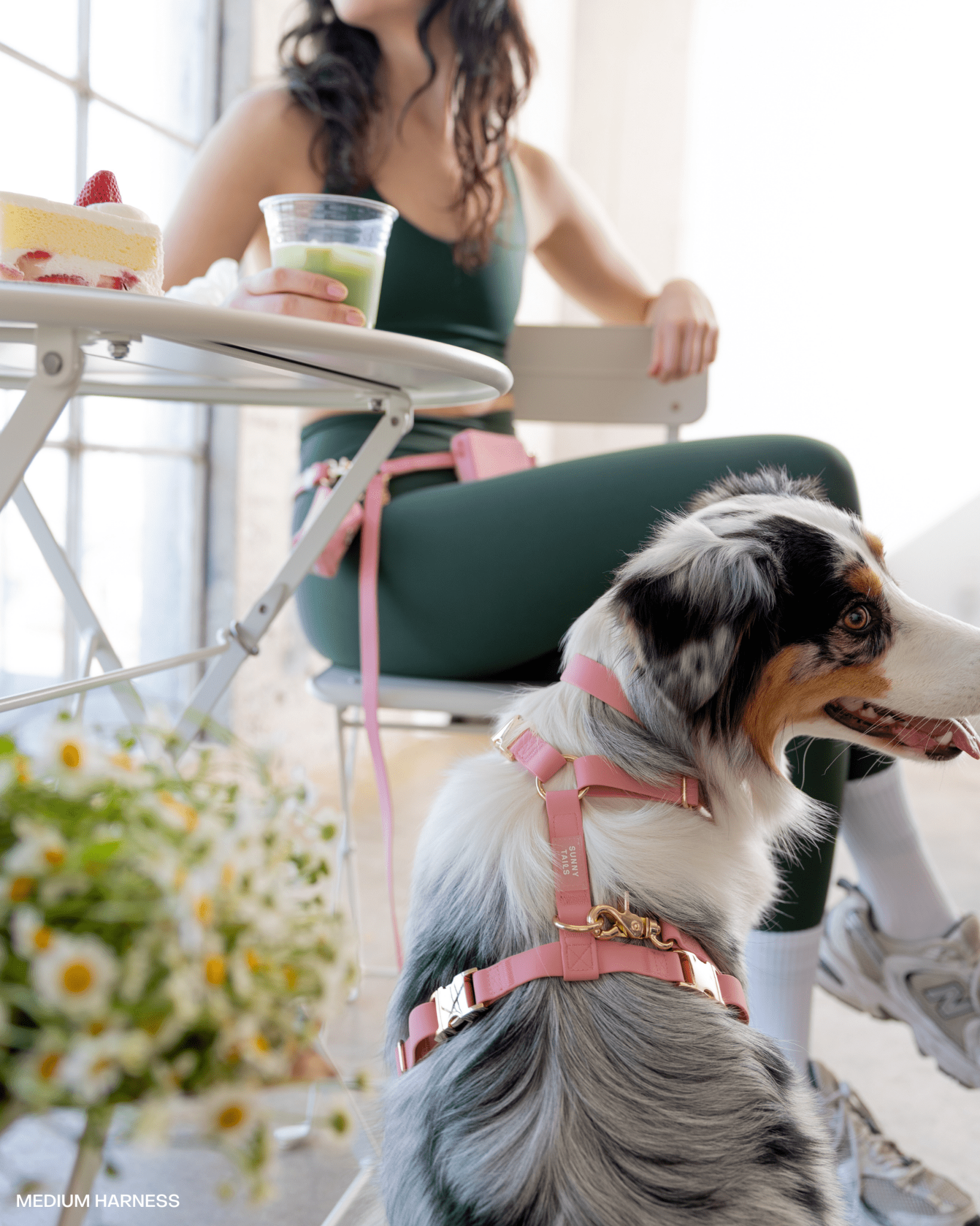 Perfect Pink 4-in-1 Convertible Hands Free Cloud Dog Leash (Standard leash preorder ship by 6/12)