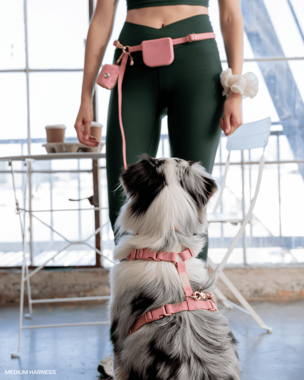 Perfect Pink Snap Dog Treat Pouch
