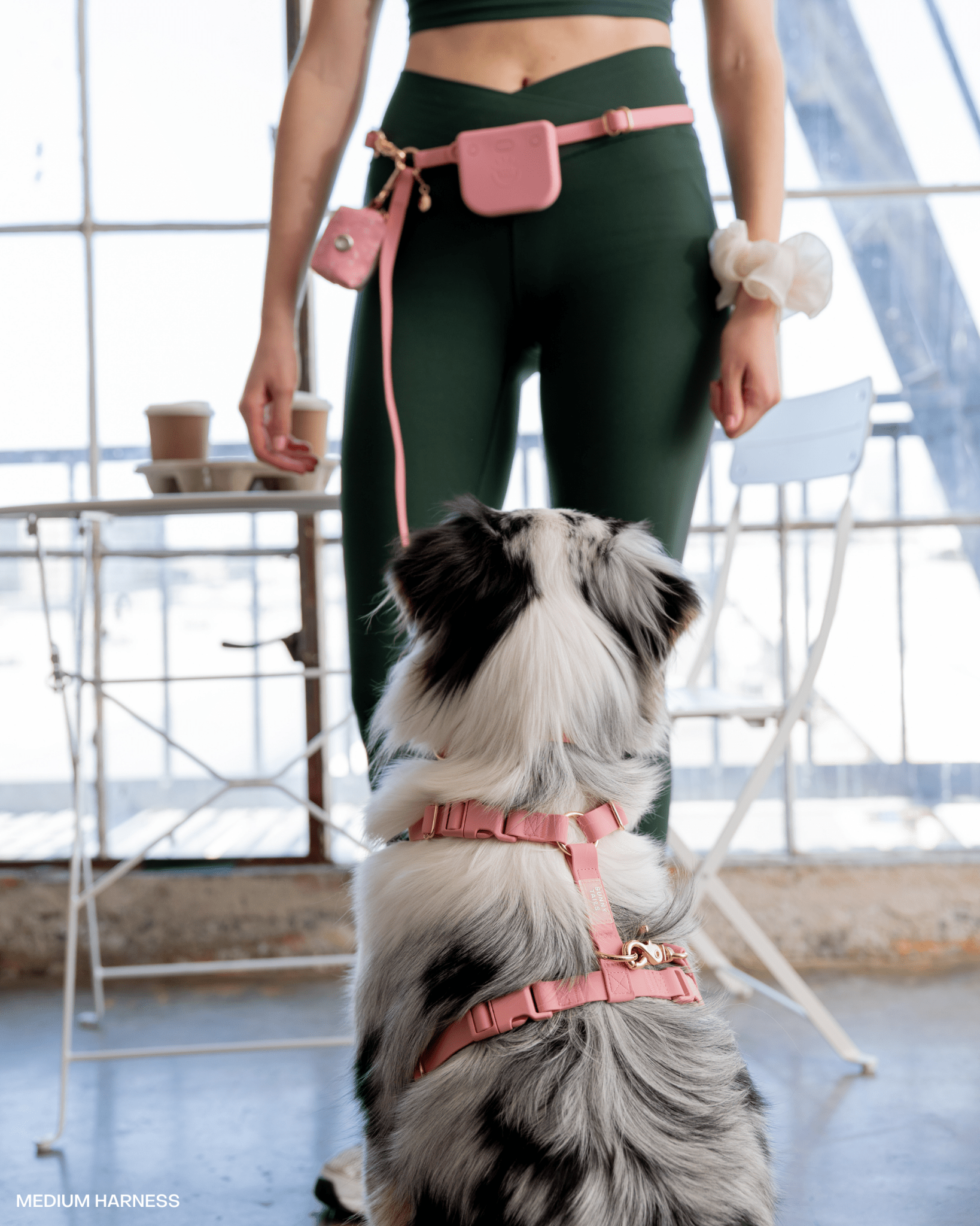 Perfect Pink Waterproof Dog Collar