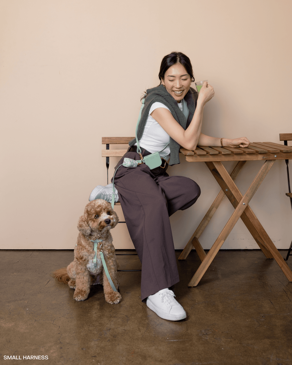 Pistachio Green 4-in-1 Convertible Hands Free Cloud Dog Leash