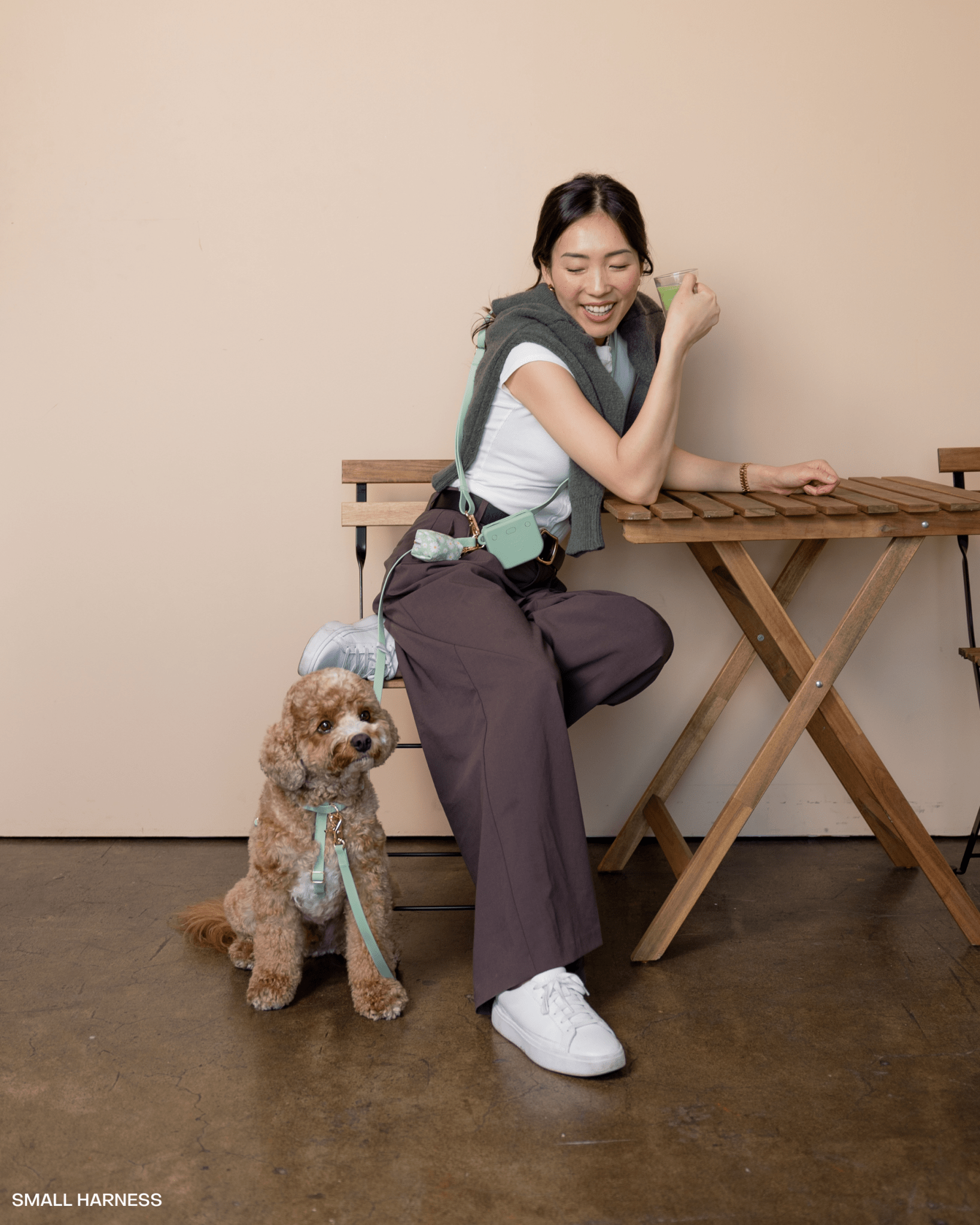 Pistachio Green Cloud Lite Dog Harness