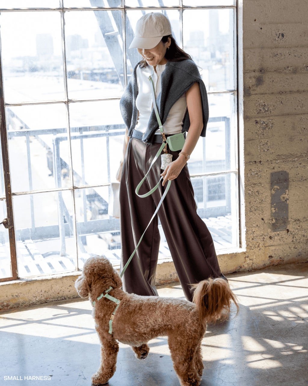 Pistachio Green 4-in-1 Convertible Hands Free Cloud Dog Leash