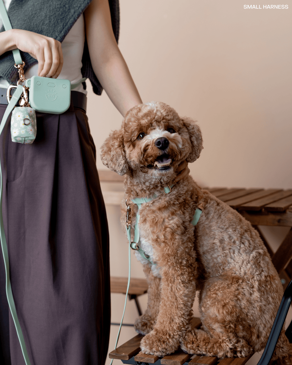 Pistachio Green Cloud Lite Dog Harness