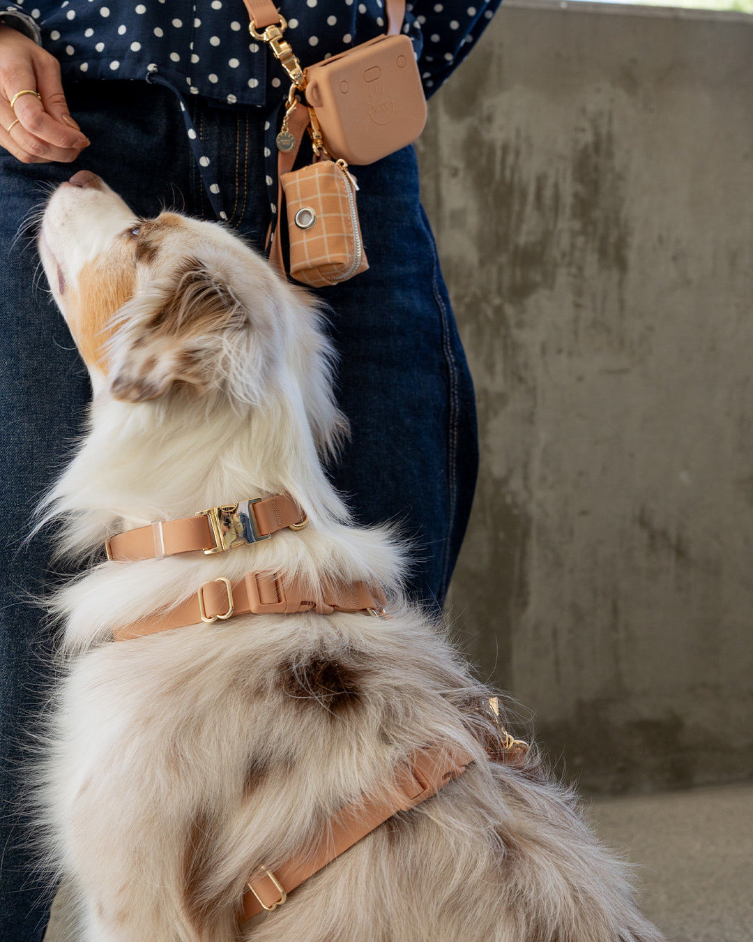 Chai Brown Cloud Lite Dog Harness