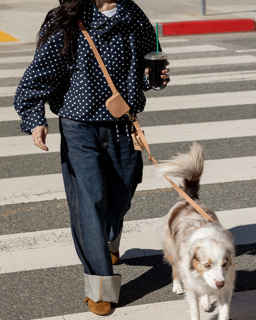 Chai Brown 4-in-1 Convertible Hands Free Cloud Dog Leash