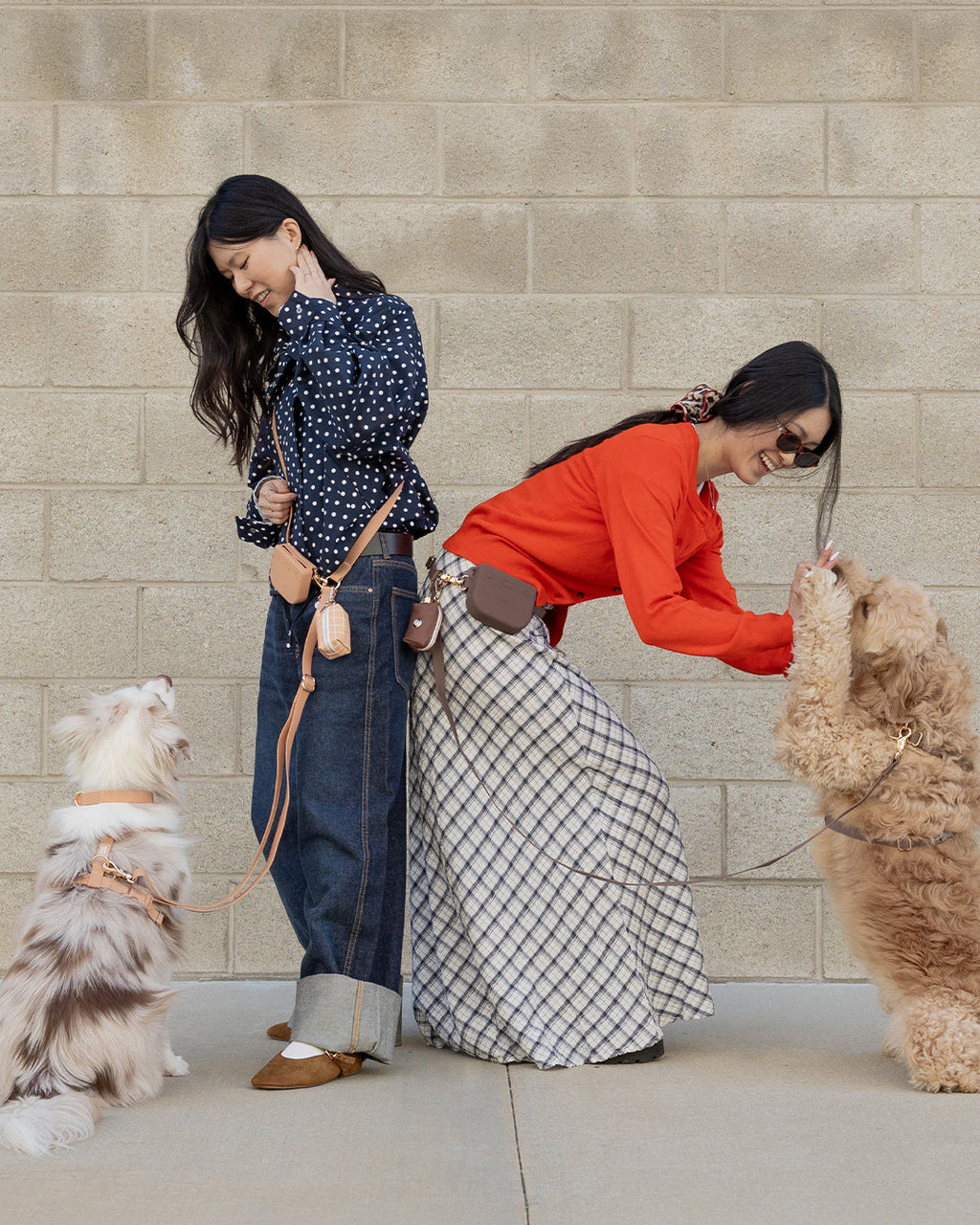 Chai Brown 4-in-1 Convertible Hands Free Cloud Dog Leash