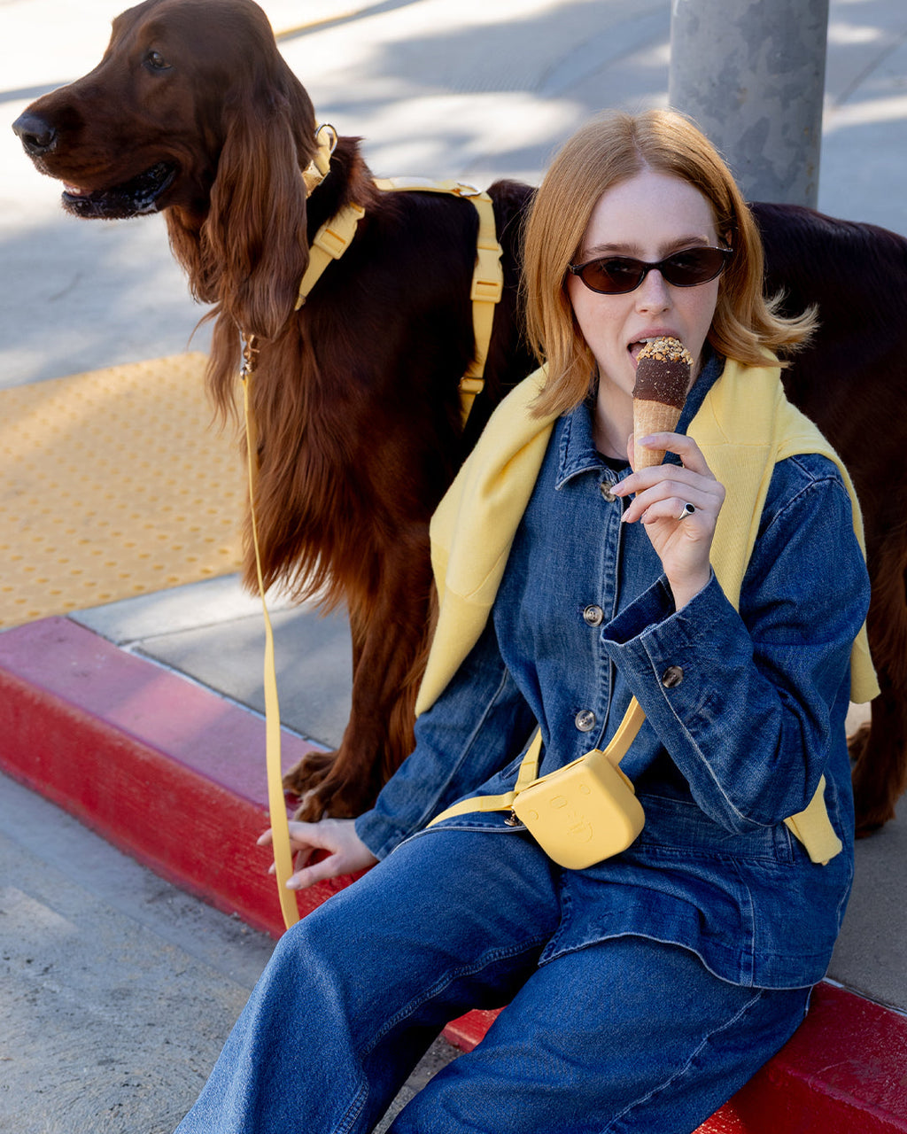 Dandelion Yellow Cloud Lite Dog Harness