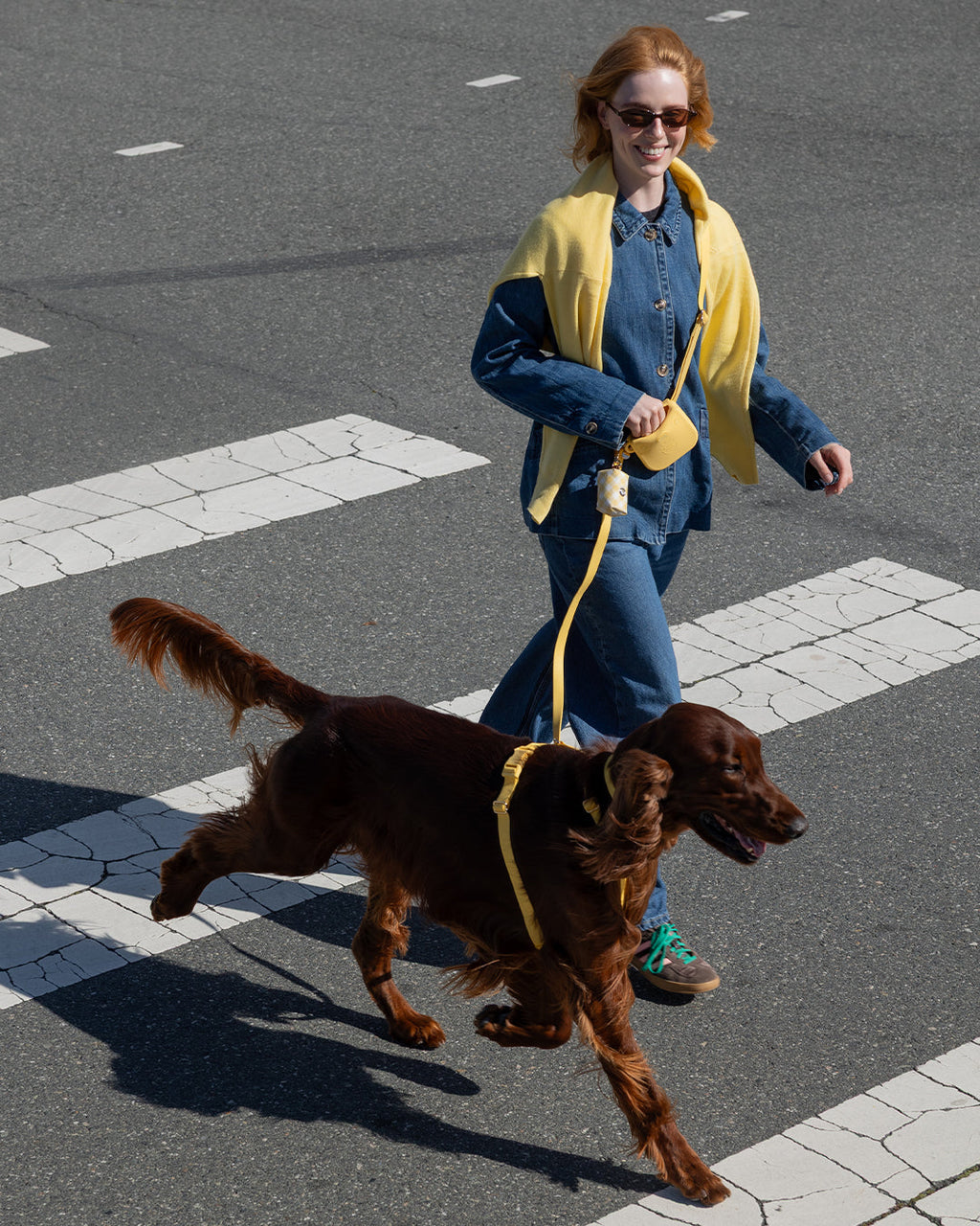 Dandelion Yellow 4-in-1 Convertible Hands Free Cloud Dog Leash