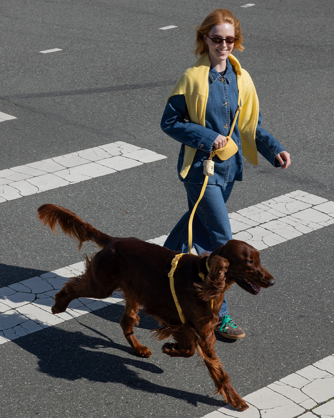 Dandelion Yellow Cloud Lite Dog Harness