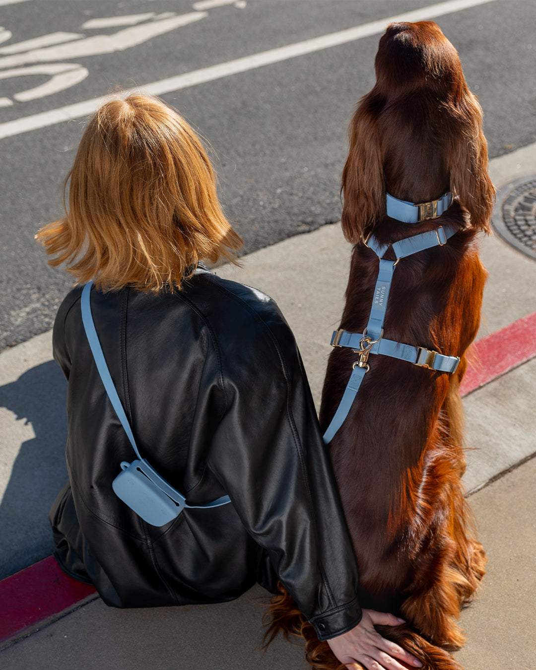 Malibu Blue Cloud Lite Dog Harness
